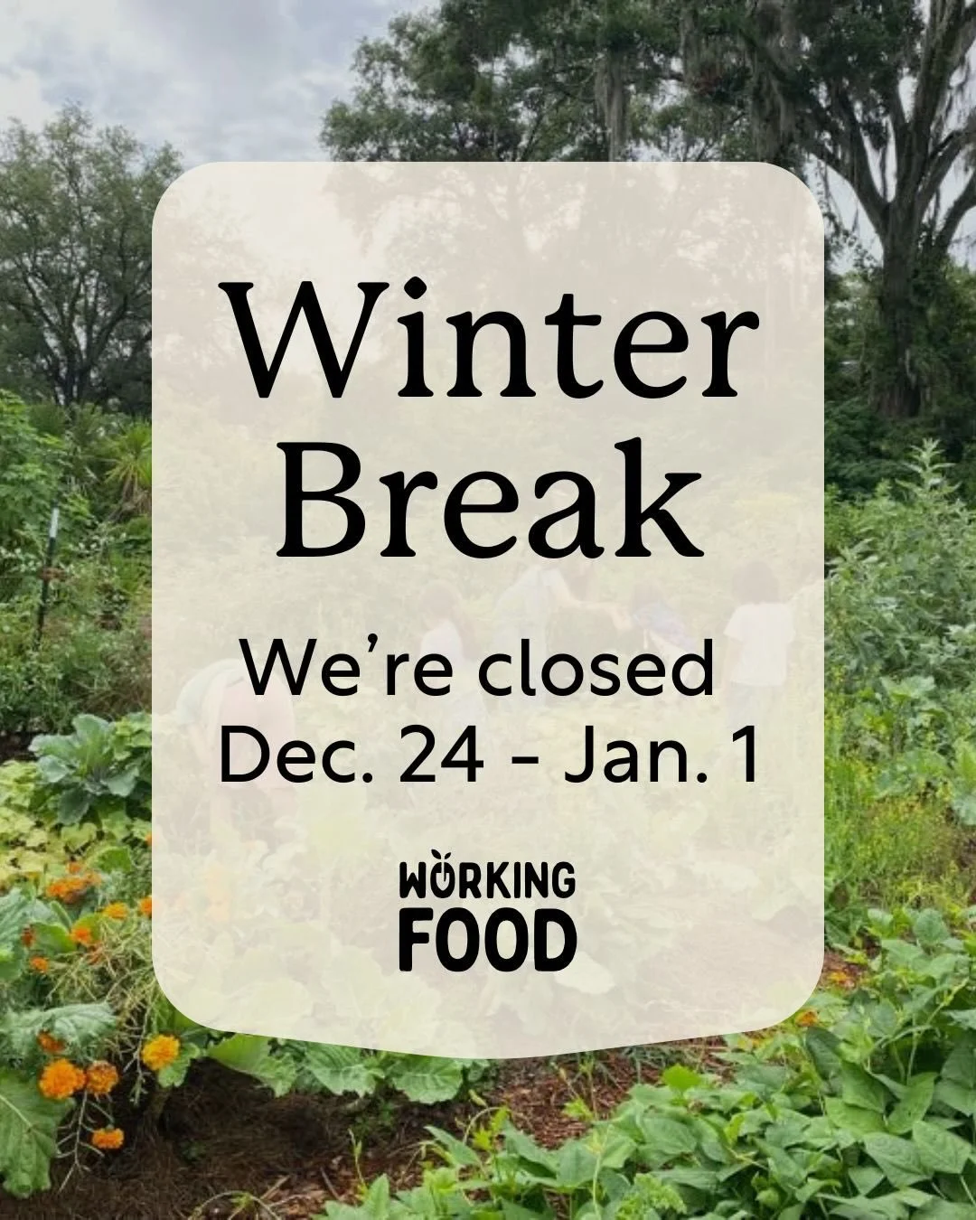 Working Food staff will be taking a winter break from Dec. 24 - Jan. 1 to spend time with loved ones and rest. Our office at 219 NW 10th Ave. will be closed during this period. Our farm will also pause weekly free food distributions on Dec. 23 and De