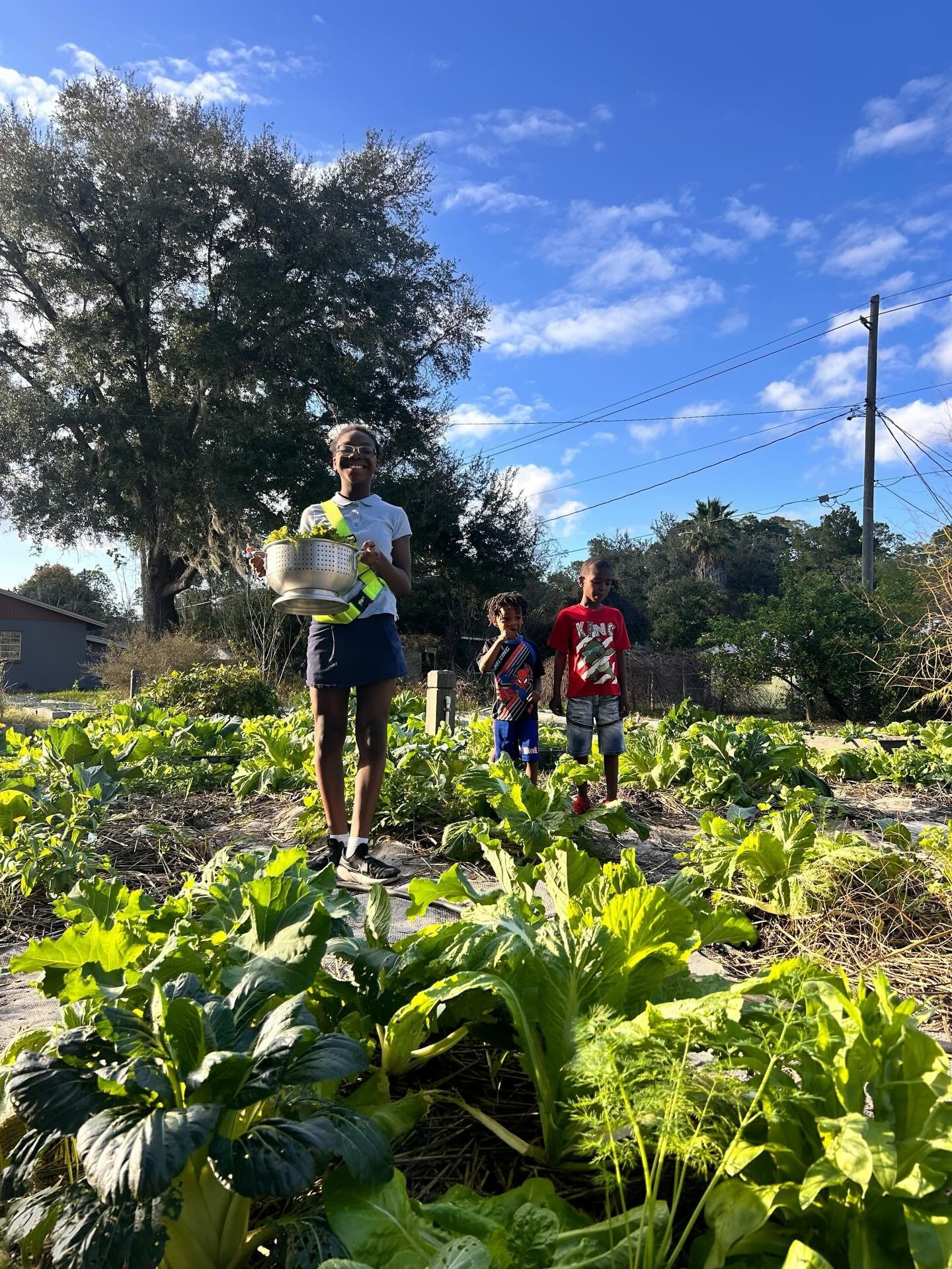 Starting off the month right at the Duval Garden of Eatin&rsquo;! The young gardeners harvested the green vegetables they grew to make a delicious salad. Plus, freshly squeezed orange juice to enjoy 🍊This winter air doesn&rsquo;t stop them from maki