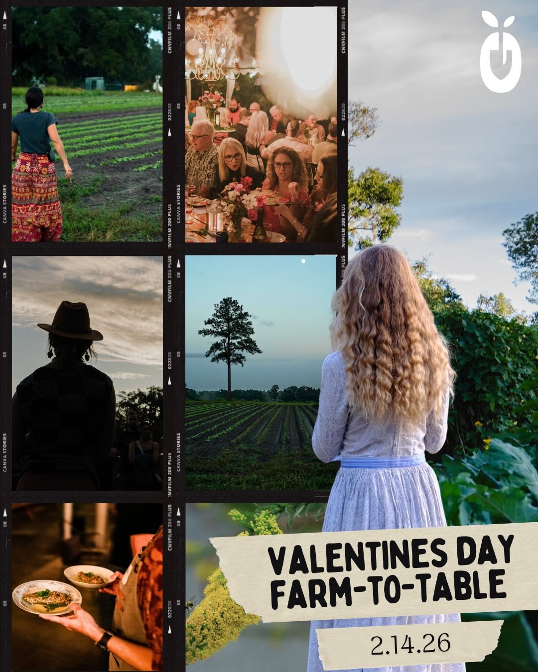 Love tastes better when it&rsquo;s grown close to home. This Valentine&rsquo;s, gather under the stars for a farm-to-table dinner rooted in connection, craft, and care. Our menu is built from produce harvested the very same day at Frog Song Farm @fro