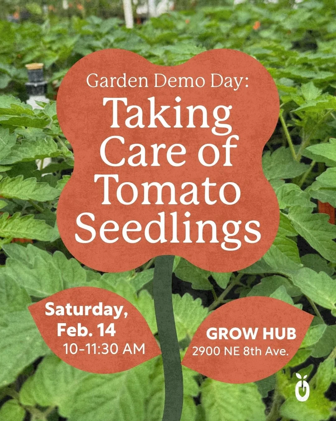 Join us for our first Garden Demo Day of the year, Taking Care of Tomato Seedlings, on Saturday, Feb. 14 at 10 AM out at GROW HUB. 

🌱Each year, we grow hundreds of tomato plants that our community is able to purchase in time for tomato growing seas