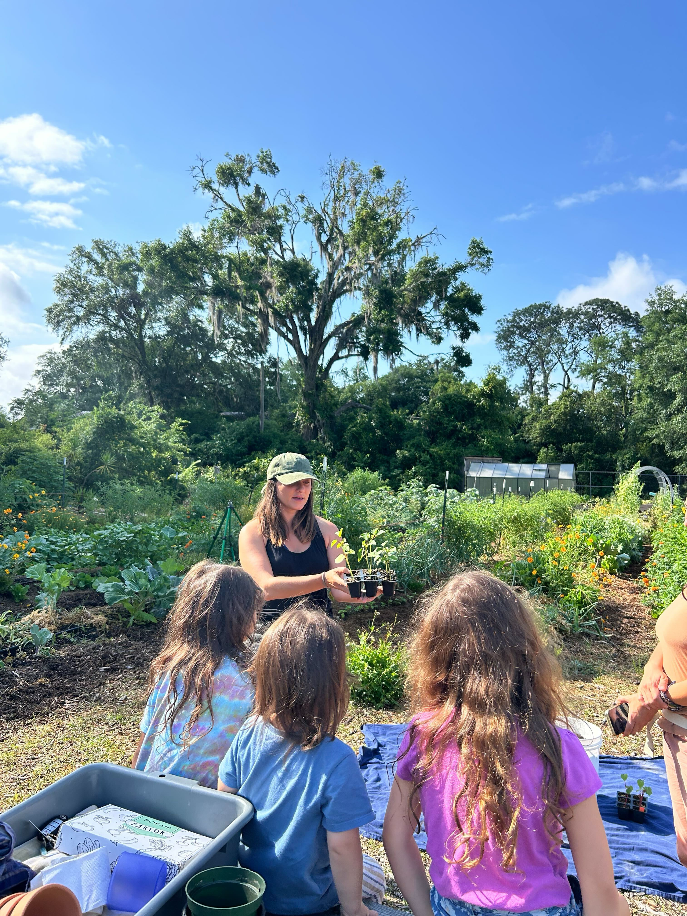 1 adult showing 3 children a tray of small plants