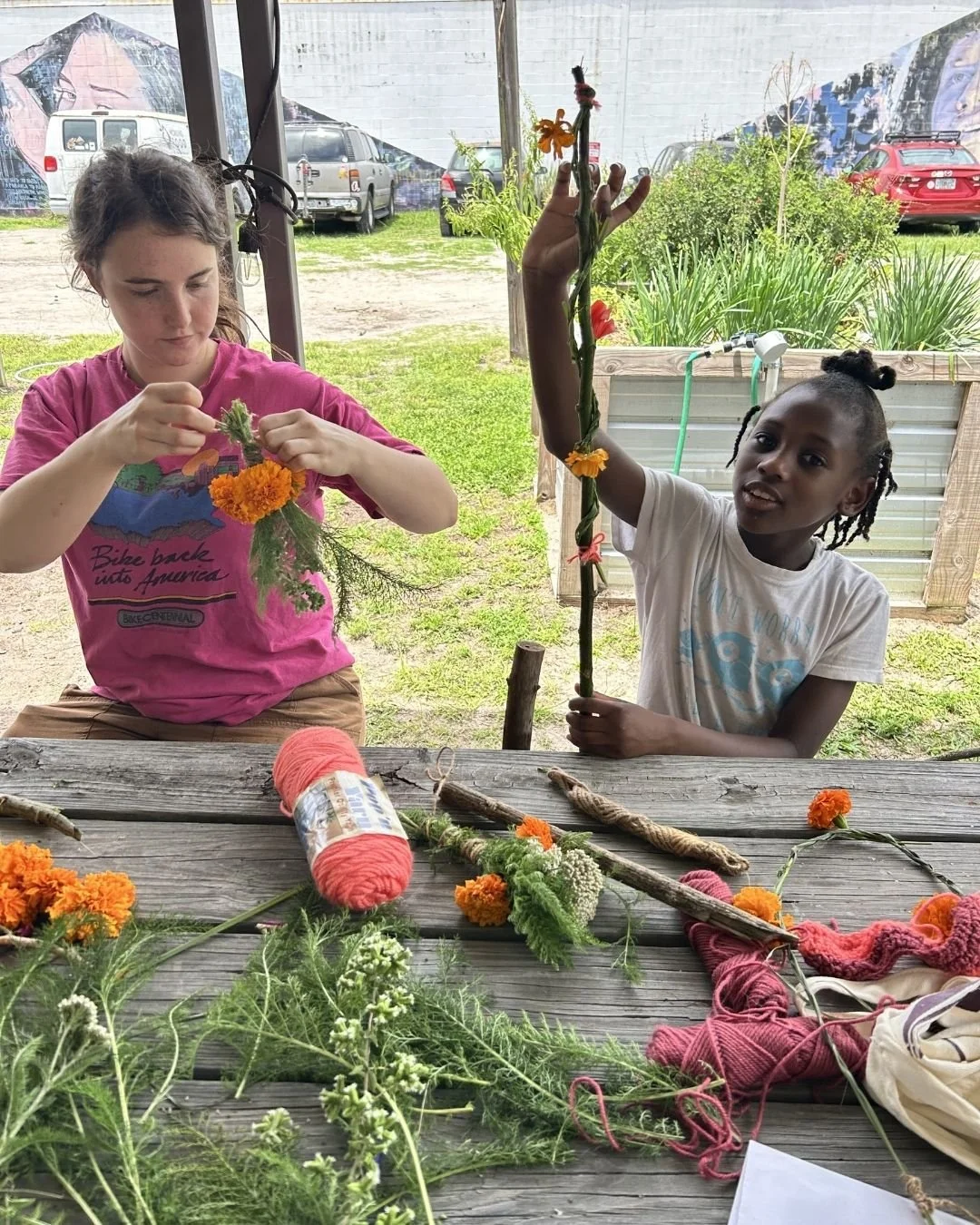 Newsletter images.jpg