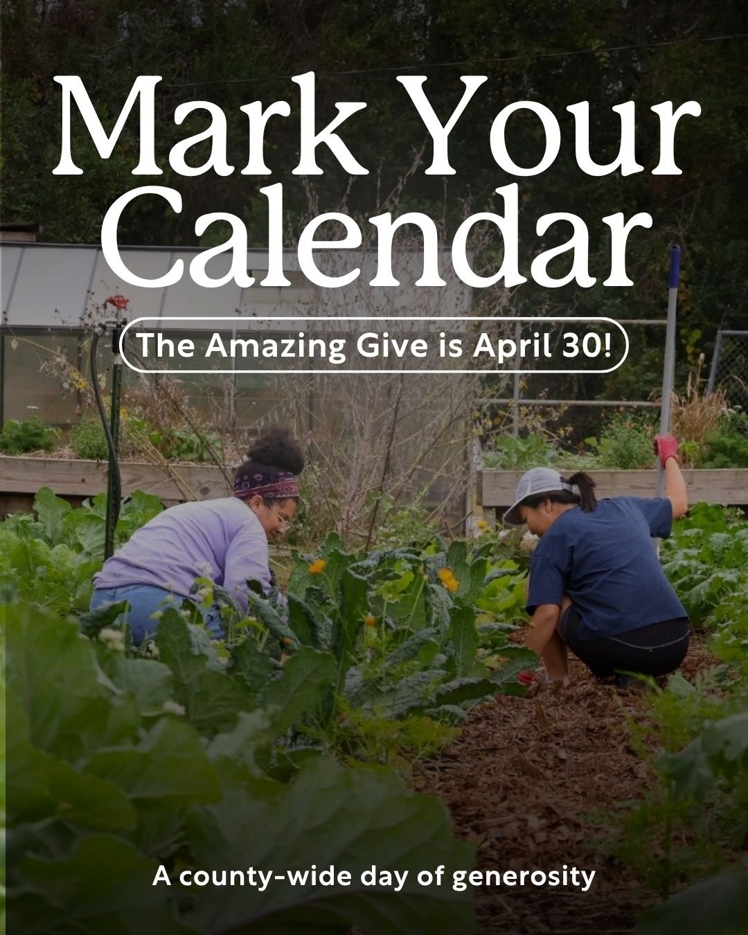 Save the date for April 30! The Amazing Give is a regional donation drive hosted by The Junior League of Gainesville for Alachua County non-profits.

From April 16 - May 7, our community comes together to support the organizations that help it thrive