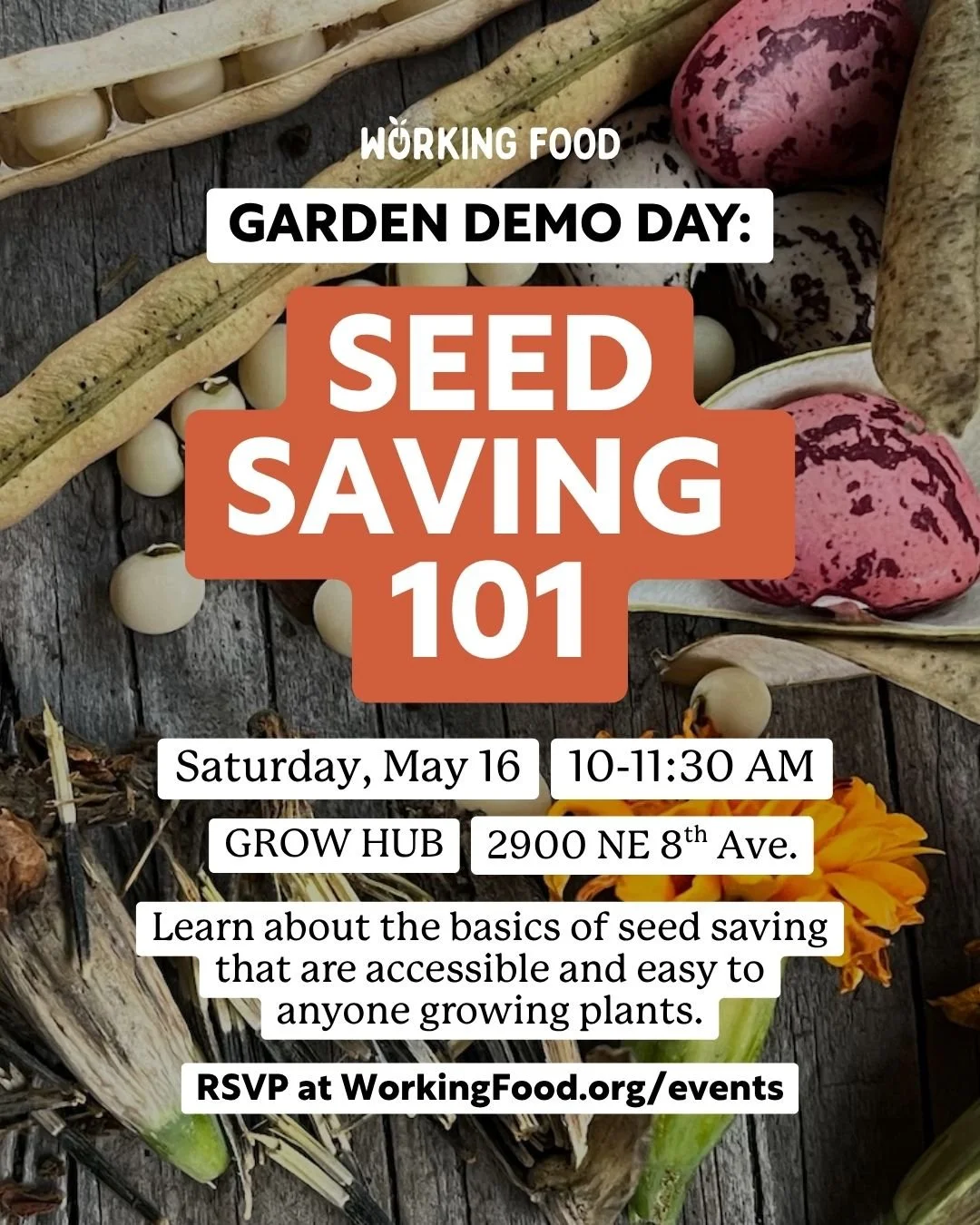 On Saturday, May 16, join us in the gardens to learn all about the basics of saving seeds. Starting at 10am, we'll meet at @grow.hub 

🌱 You'll see plants in various stages of seed development from flowering to seed harvest. We'll also take you behi