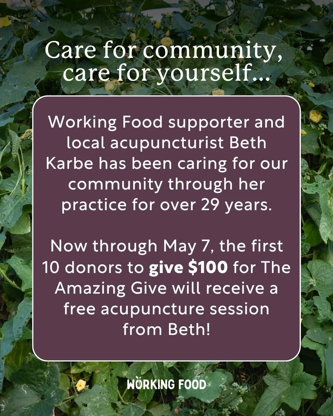 Donate $100, get a free acupuncture session! 

Working Food supporter and local healthcare practitioner Beth Karbe, MSOM, AP has been caring for our community through her practice in acupuncture and herbal medicine for over 29 years.  Now through May