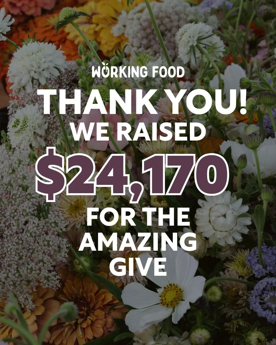 This year&rsquo;s Amazing Give was a powerful reminder of what happens when our community comes together. With your help, we raised $24,170!

✨ Thanks to your support, our community can join a garden class, learn to cook fresh food, take home seeds, 