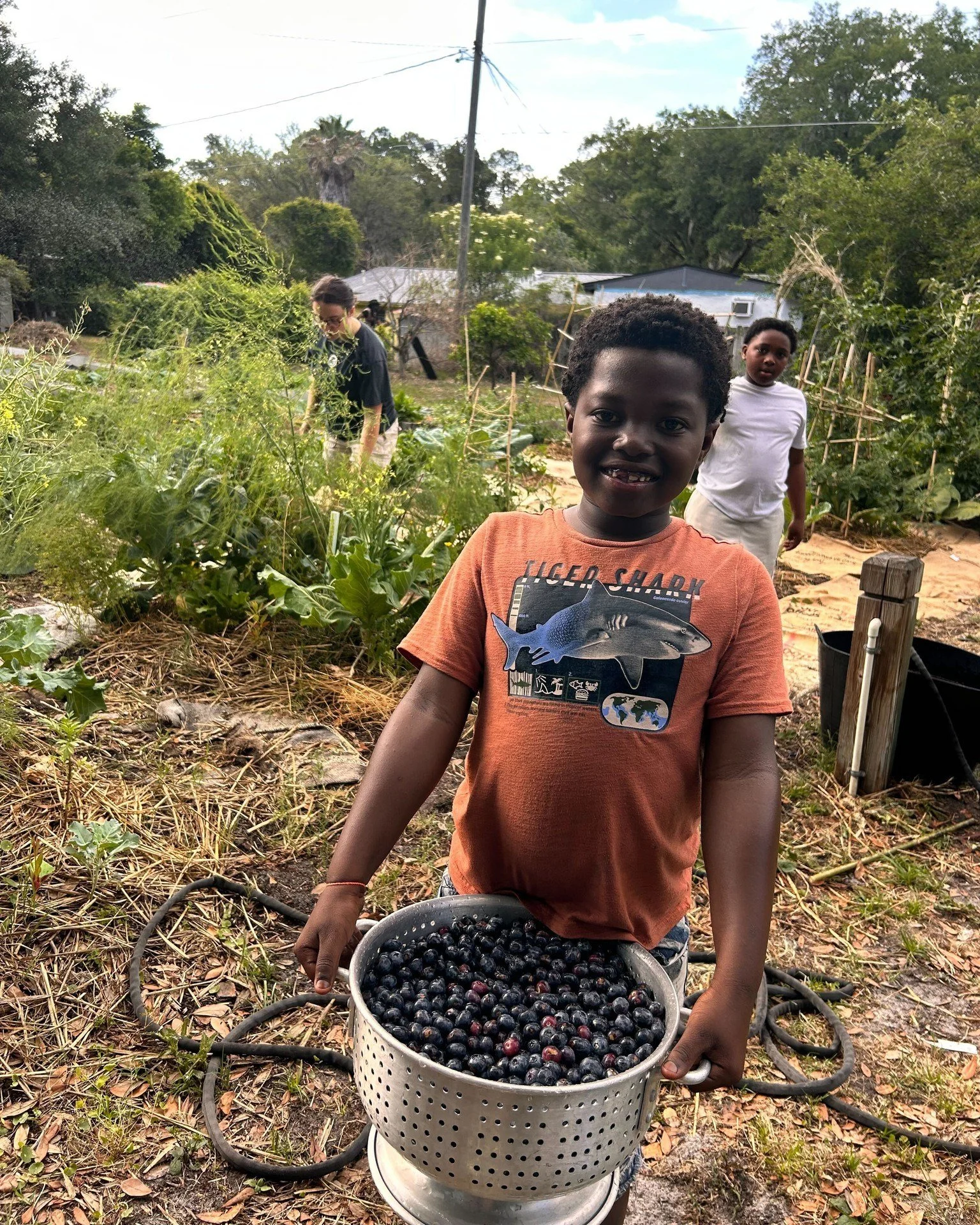 Berry season means we get to make blueberry ice cream! 

✨Earlier this month, thanks to a huge donation from the UF Blueberry Lab, the young gardeners at Duval Garden of Eatin' got to enjoy this sweet treat, a welcome relief from the Florida heat.