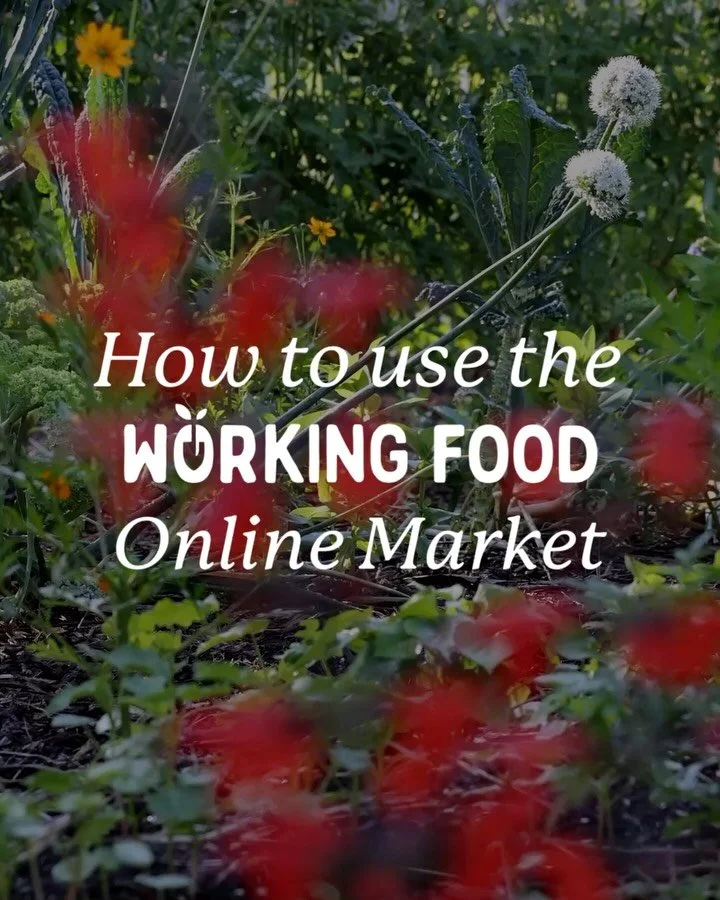 We made an easy guide on how to use our new online farmers market!

1. Start by making a free account on our market site: Market.WorkingFood.org 
2. Login to your account when the shopping period opens Friday mornings at 7AM 
3. Fill your online bask