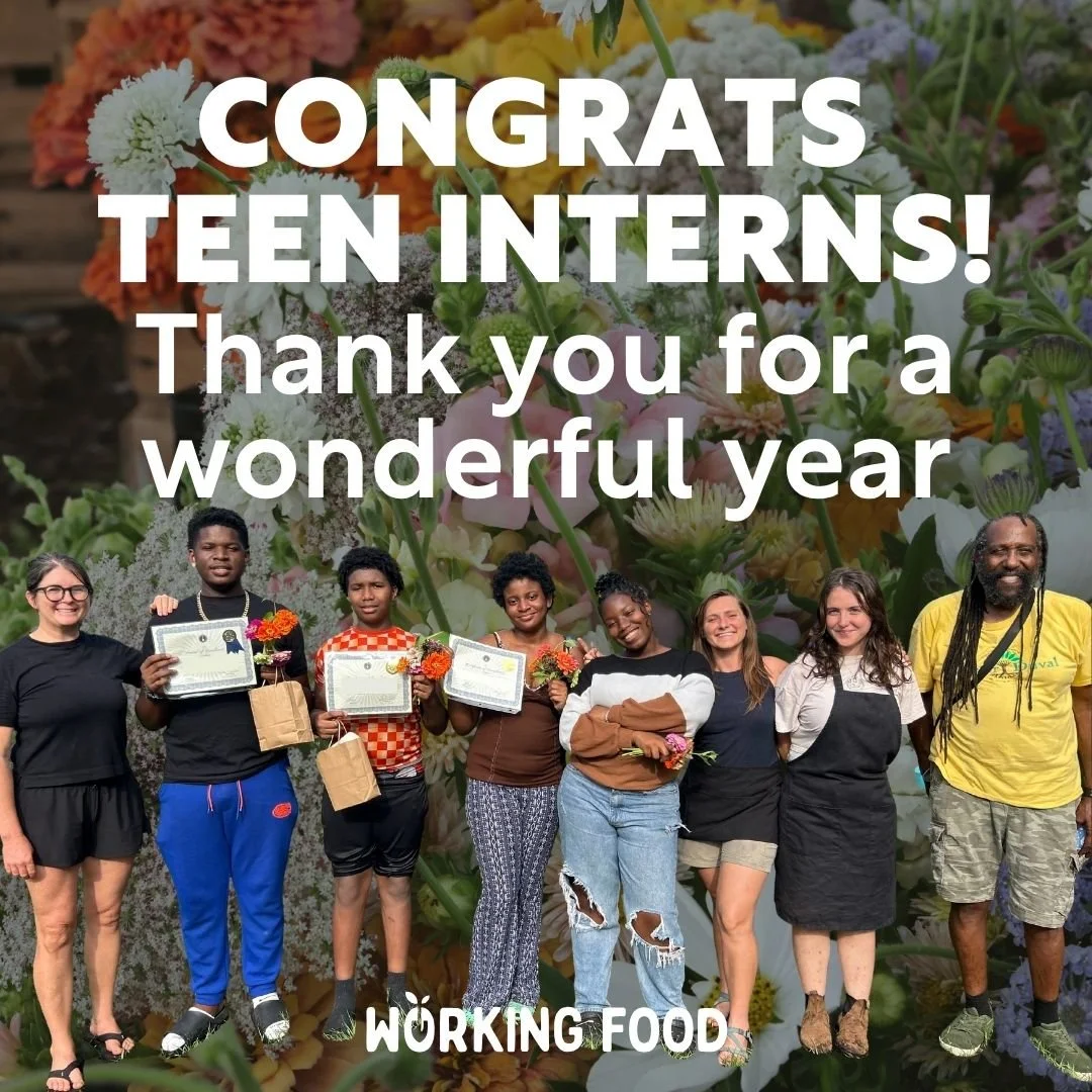 A HUGE thank you and shout out to this year&rsquo;s teen interns! ❤

🌟 This year, we launched a paid internship program, where four high school students stepped into leadership roles at the Duval Community Garden&rsquo;s Youth Garden. These young pe