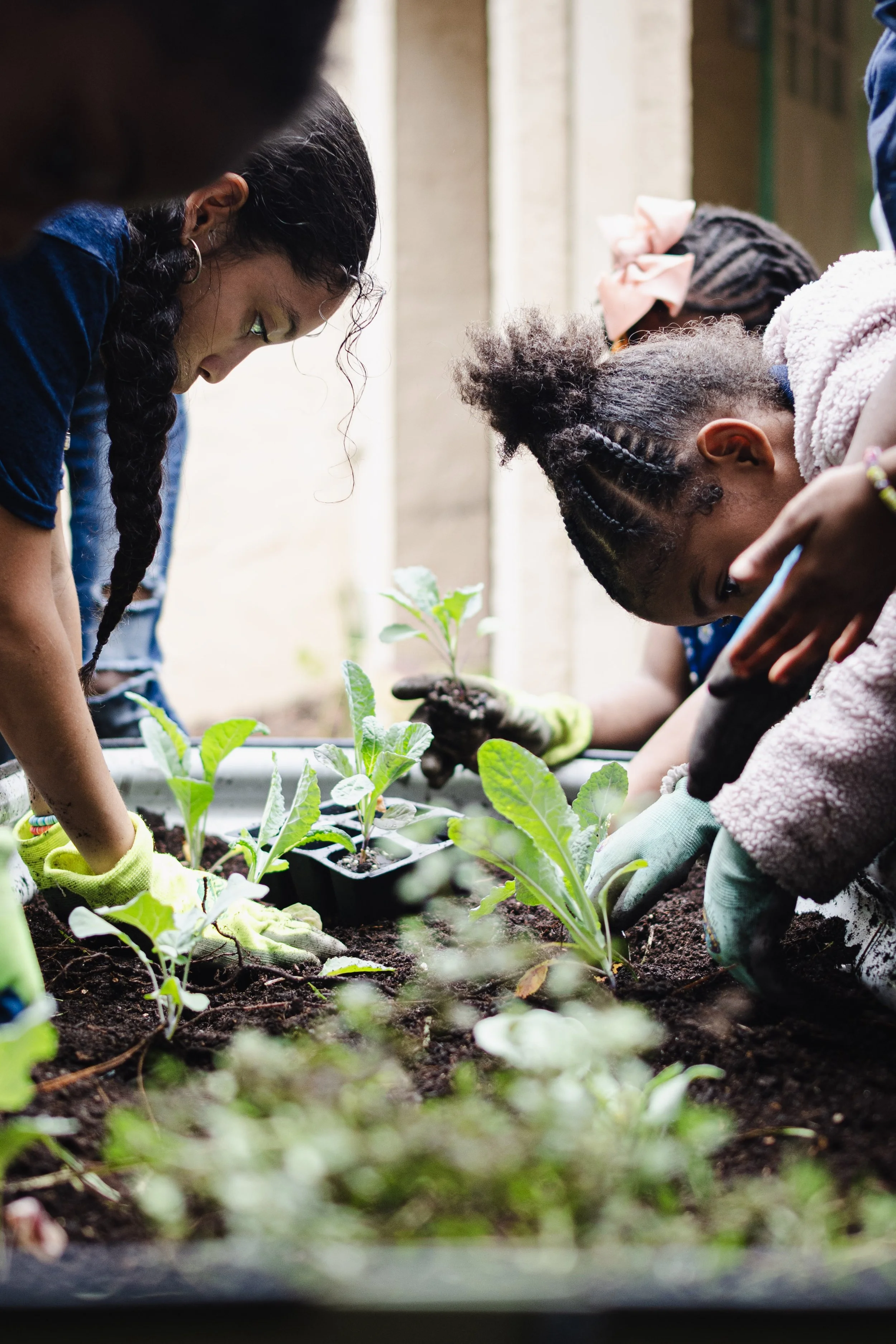 2 people crouching in a garden look at each other