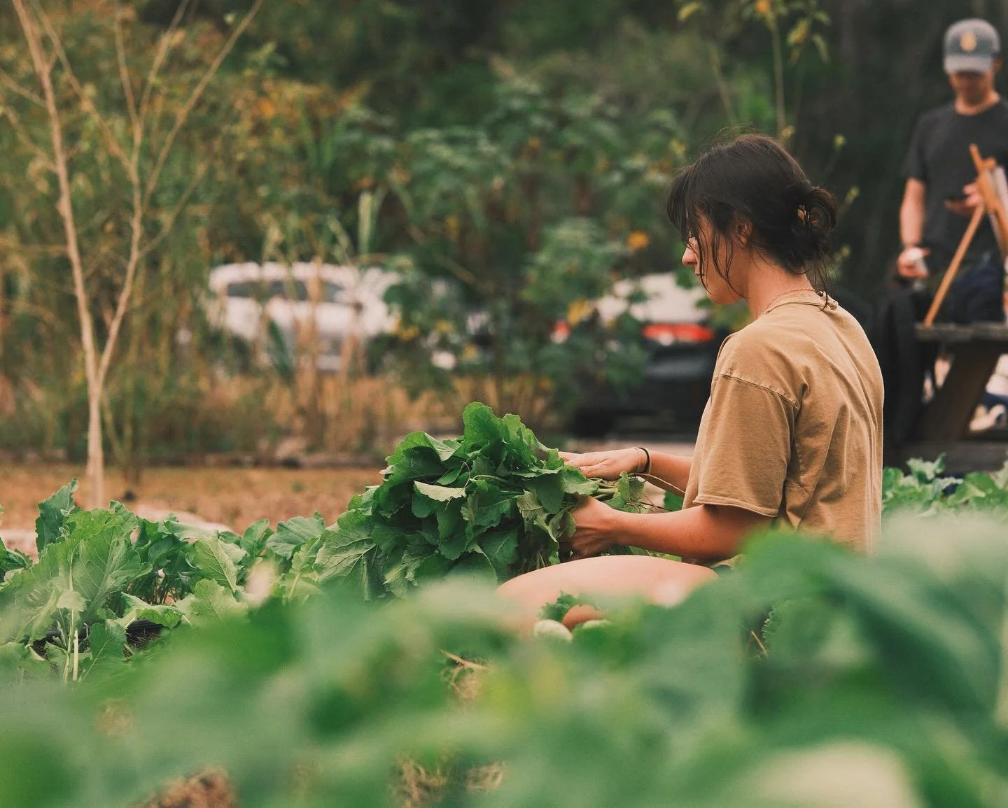 person in a garden holds bundle of greens