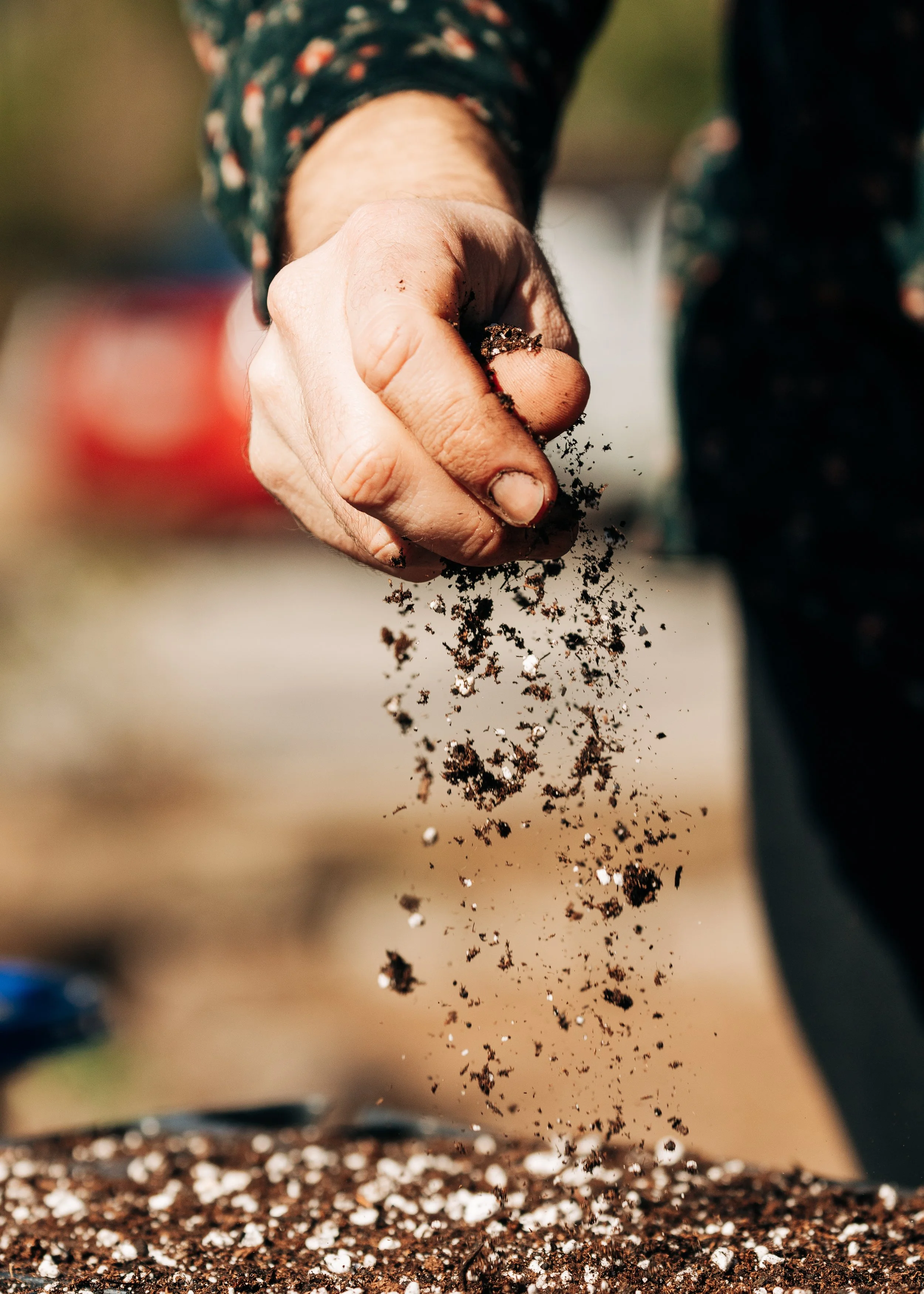 Compost, Mulch, and Soil Sources in the Gainesville Area