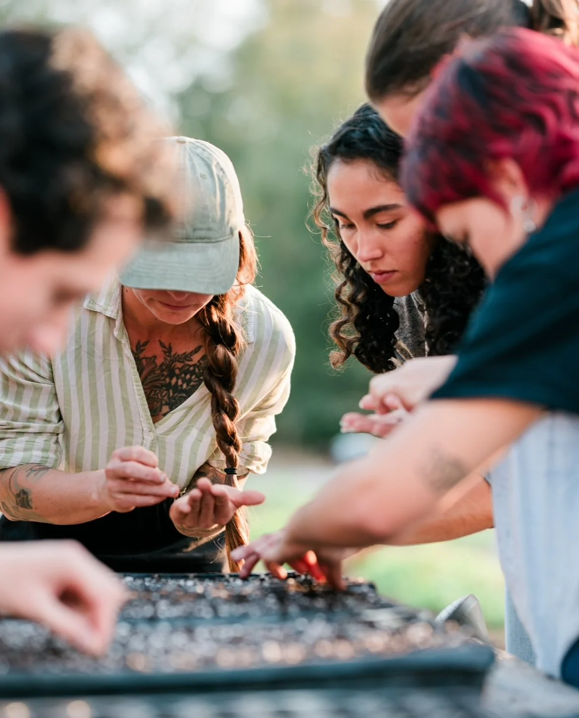 4 people lean over a tray of seeds