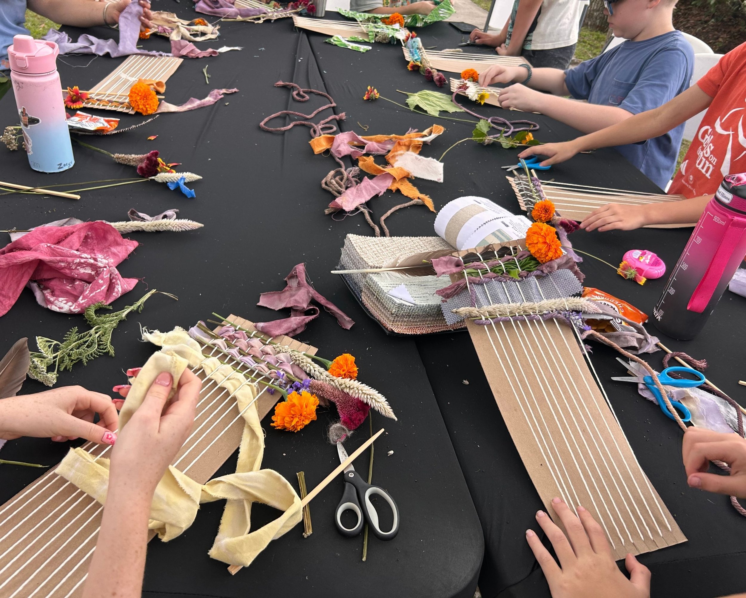 Wild Wonder Creators Camp Reflection