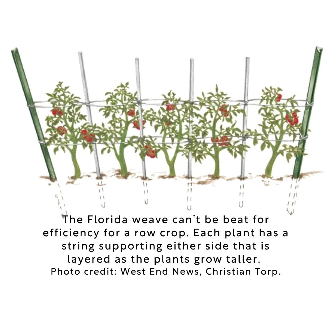 Florida weave illustration
