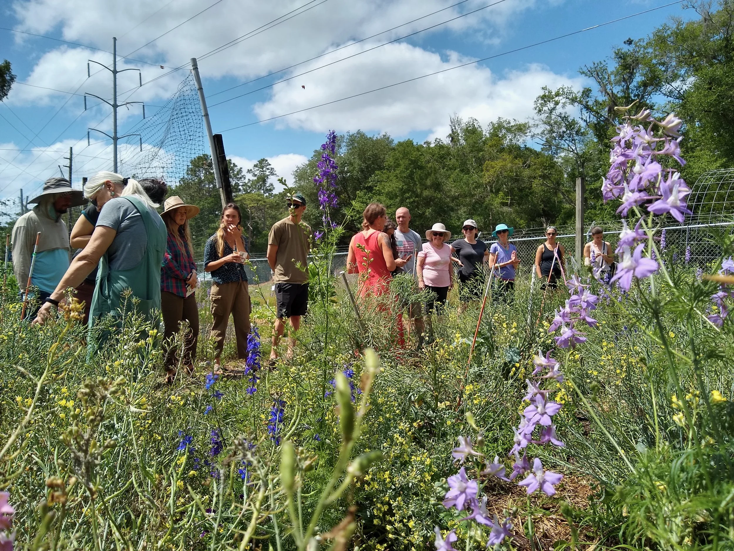 group of people standing outside in a growing garden