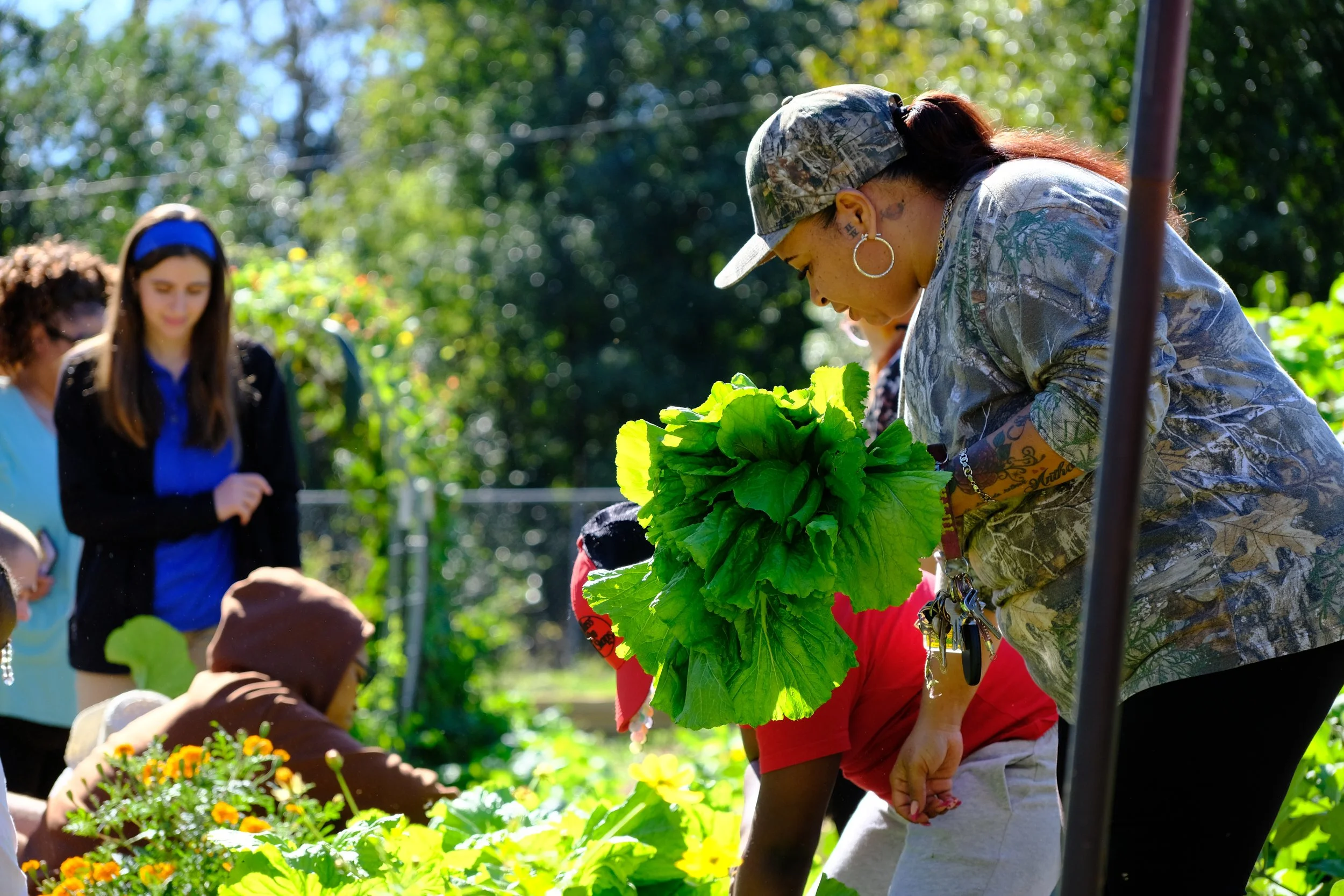 adult holding bundle of greens leaning over a garden