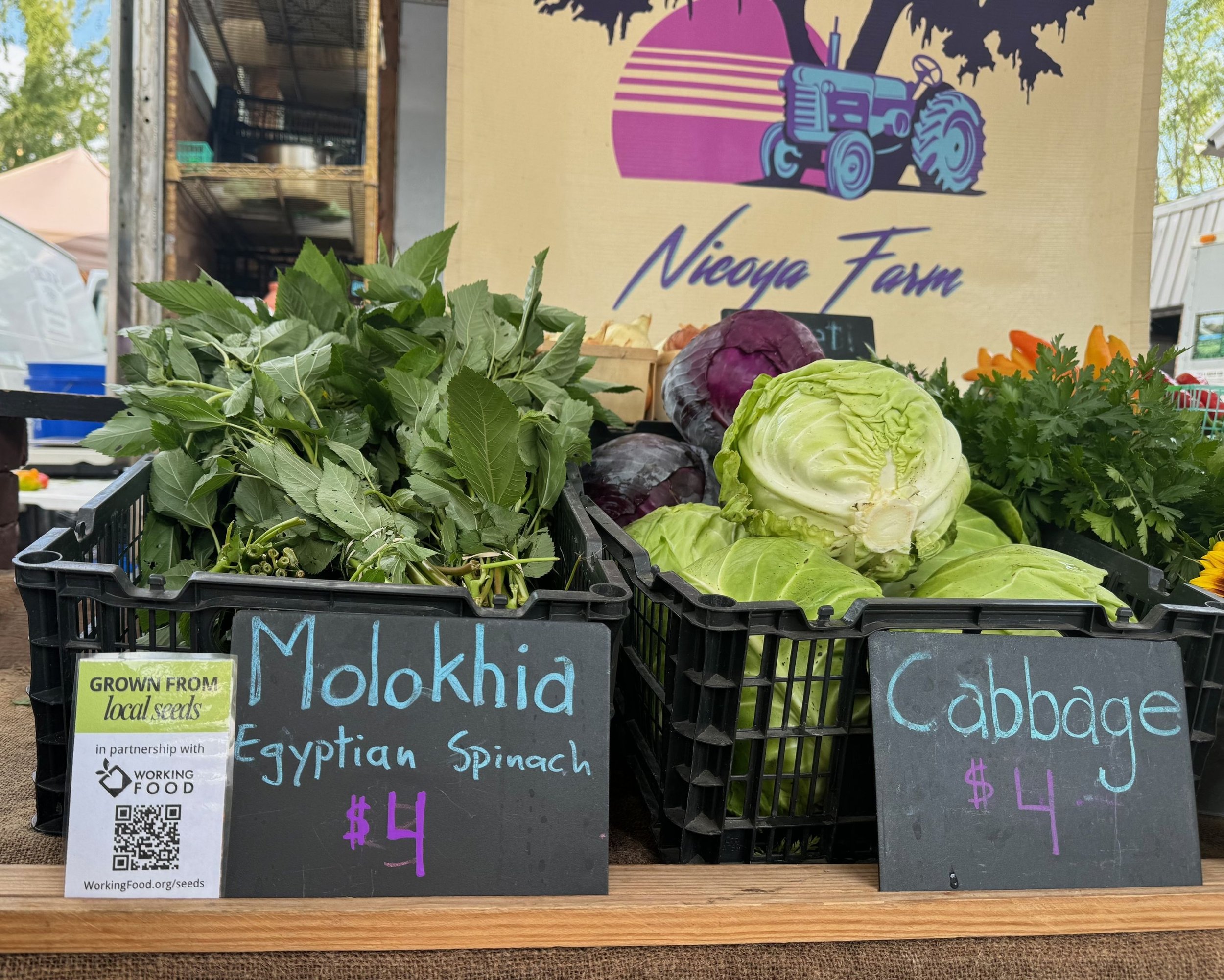 Nicoya Farm produce display at a farmers market, including Molokhia, a spinach variety saved by Working Food