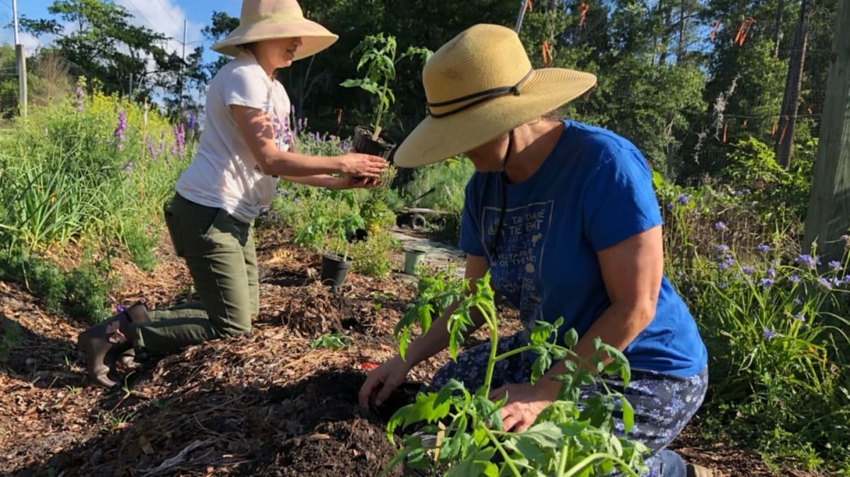 2 people workng in a garden