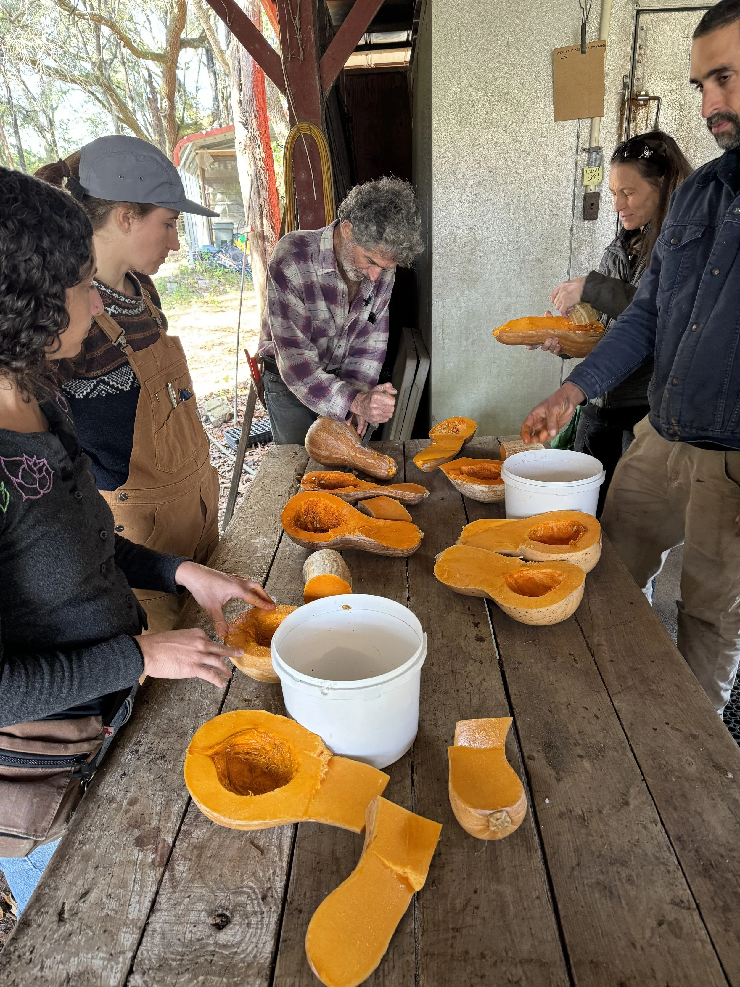 farmers look down at a table of calabaza squash