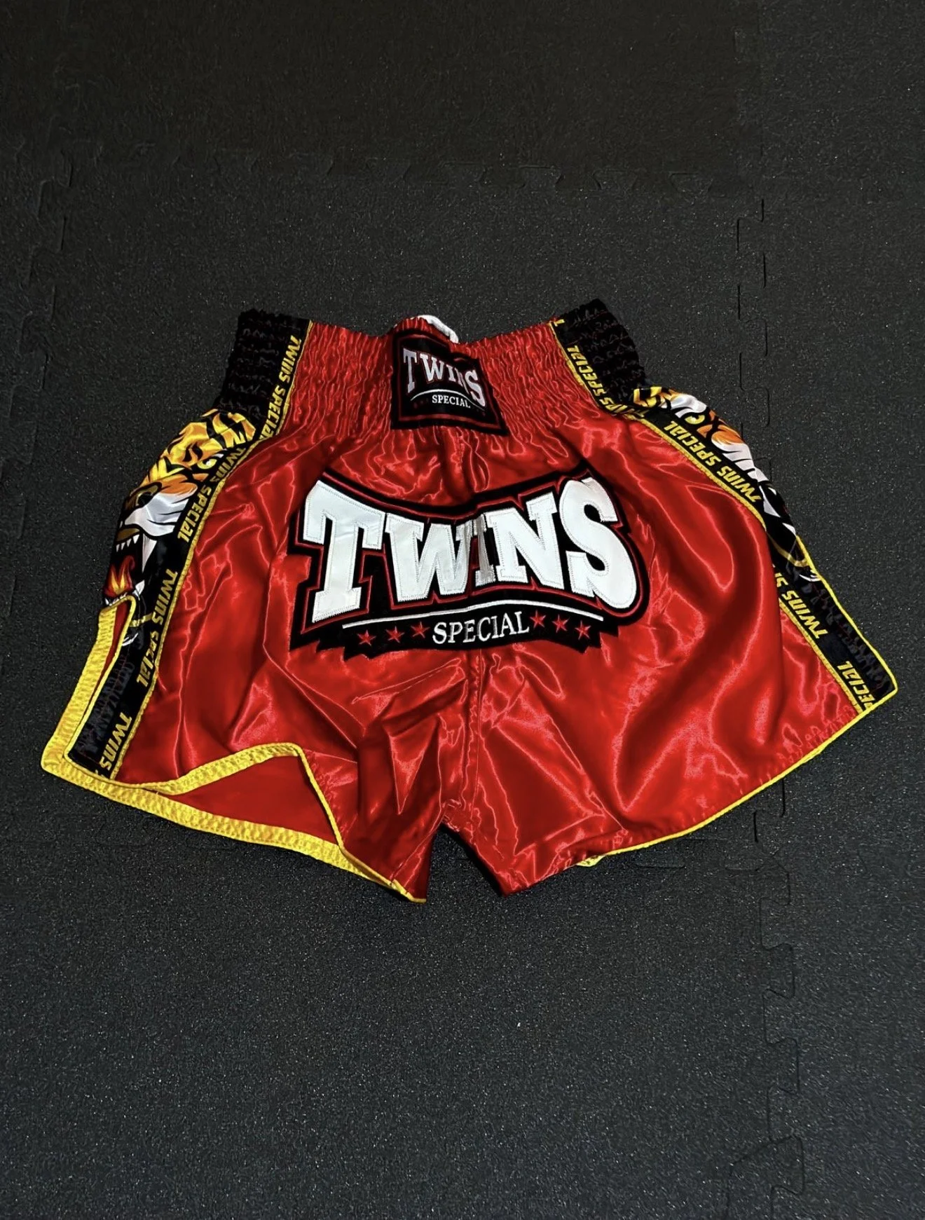 Twins Muay Thai Shorts