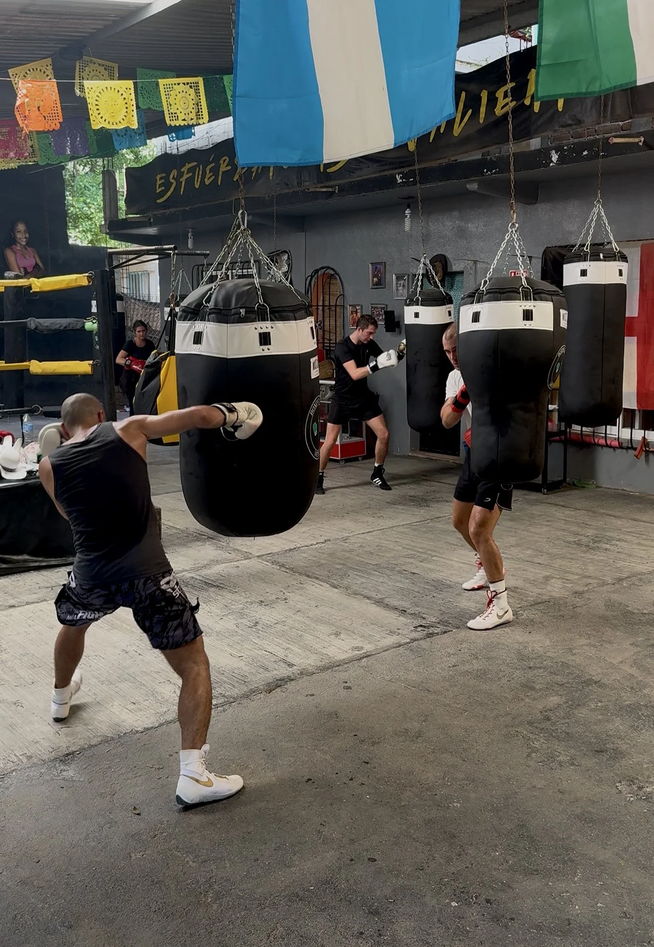 Boxing Fundamentals Online Course