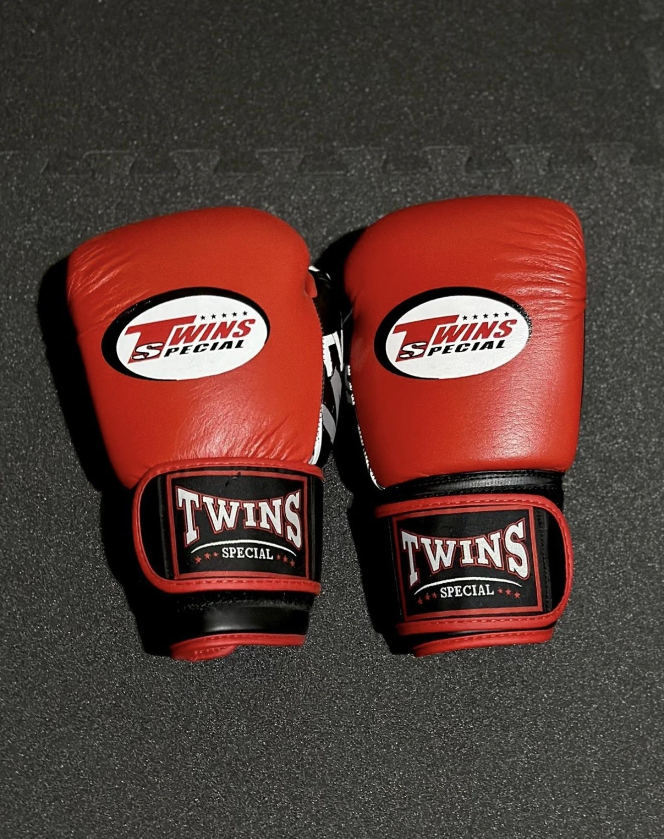 Twins Boxing Gloves