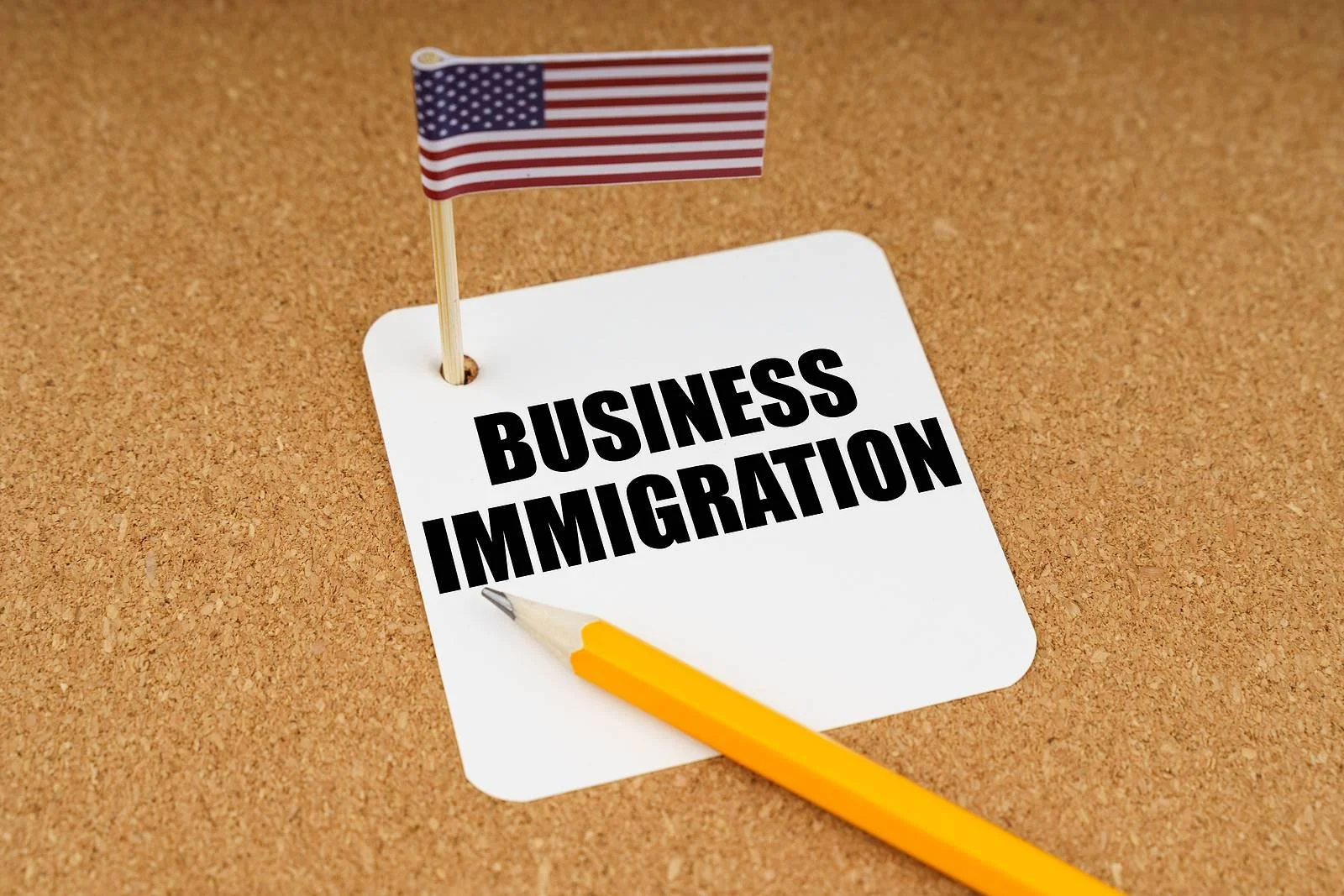 Business Immigration VISA US Flag SMALL.jpg