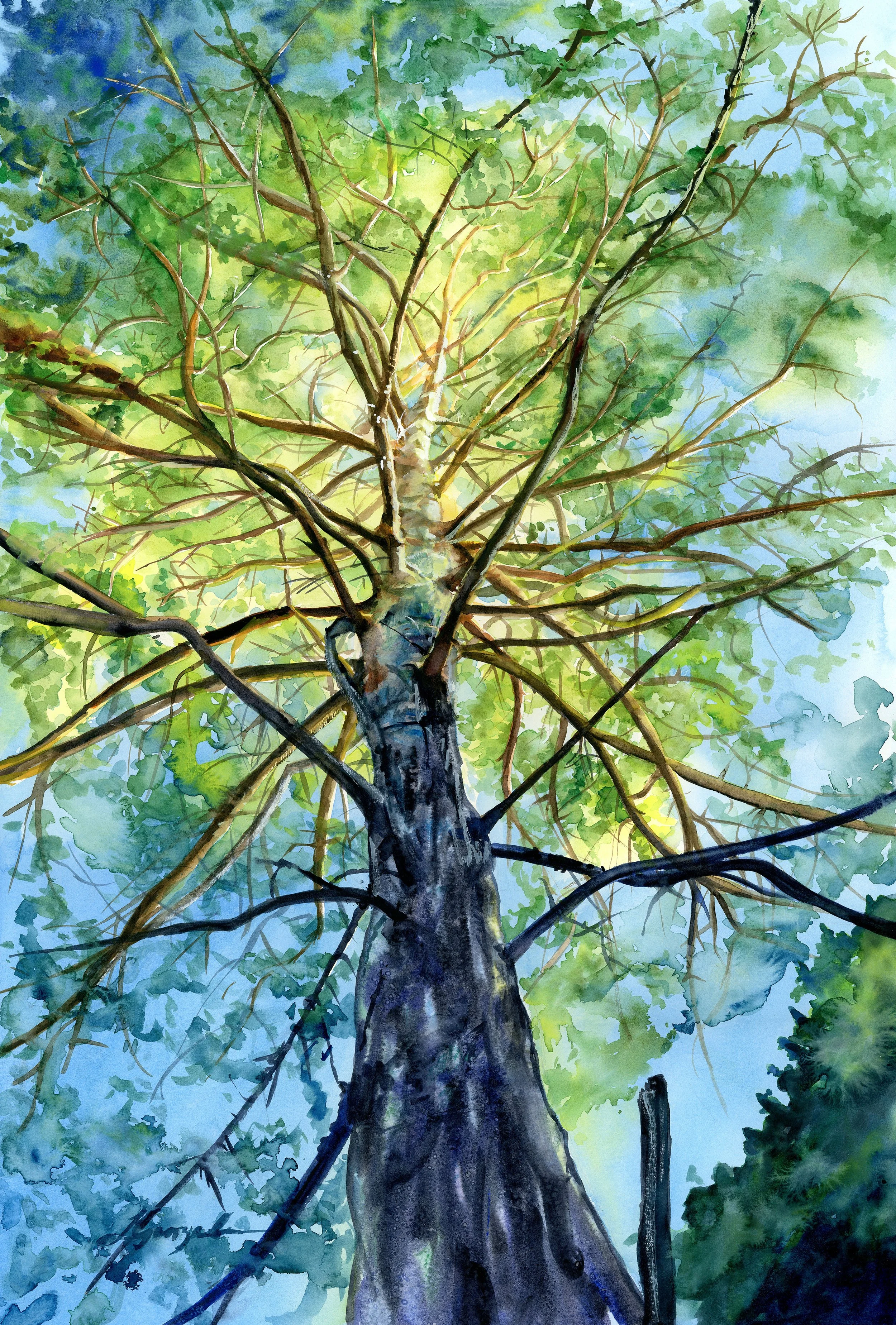 'Reaching' 27x38" Framed with anti-glare glass, $625