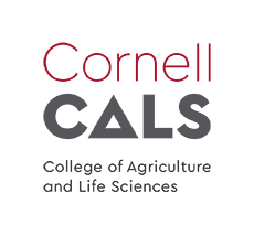 Cornell_Logo_vertical.png
