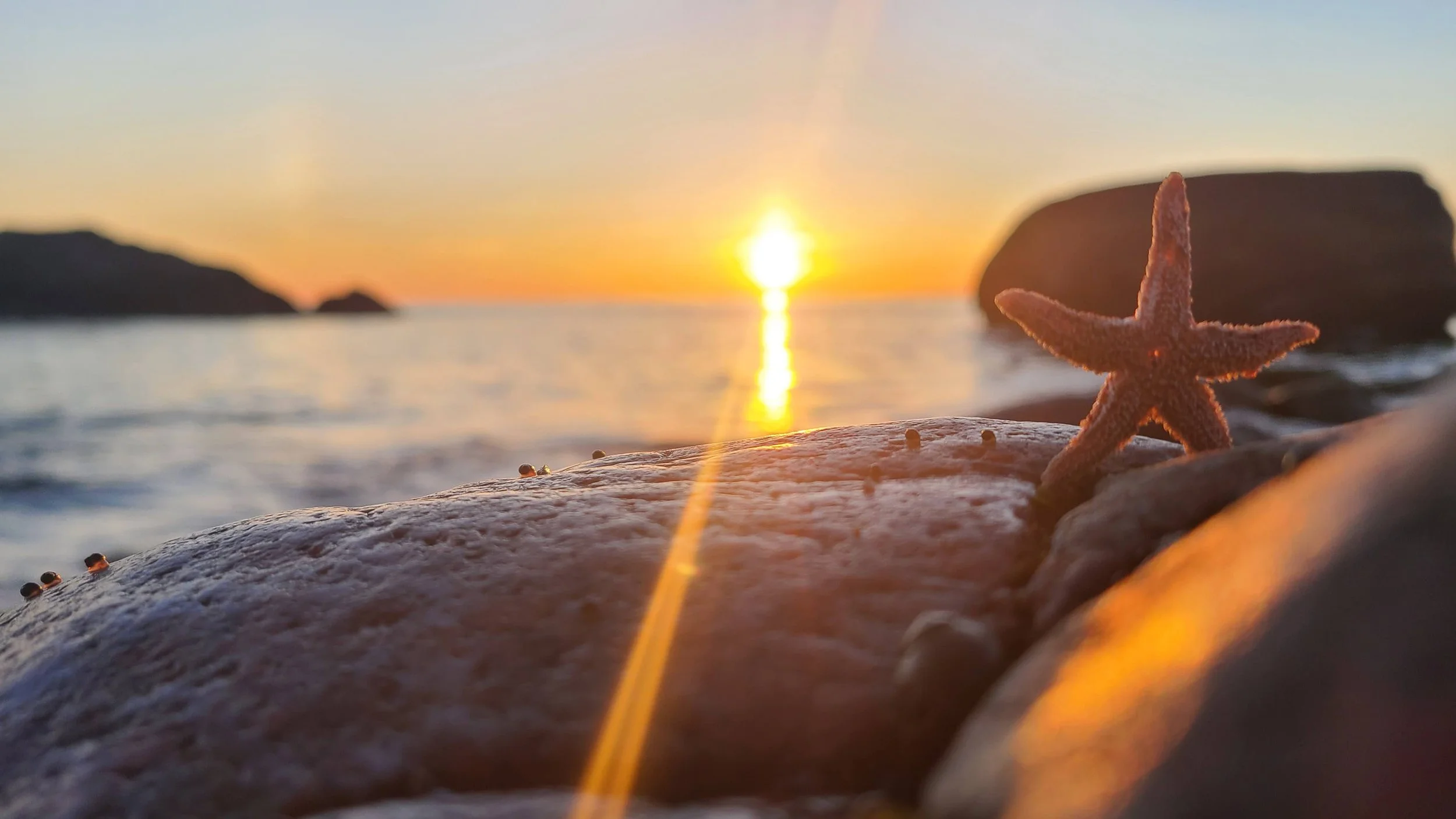 A Small Business Playbook for the Southwest Coast