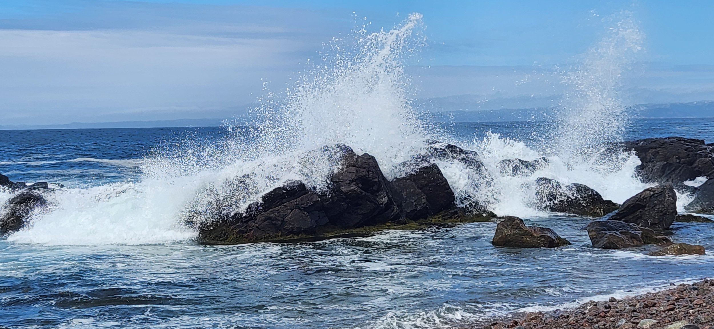 A Smooth Sea Never made a skilled sailor: Response to Government Action