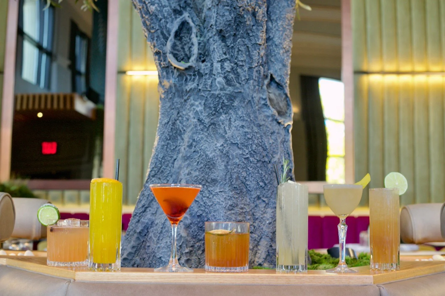 Meet our current lineup.

Sugar and Spice, All That Glitters is Gold, Pear of Hearts, Carbon Cider, Garden to Glass, Moon Dance, What the Fig.

Which one are you starting with? 🥂