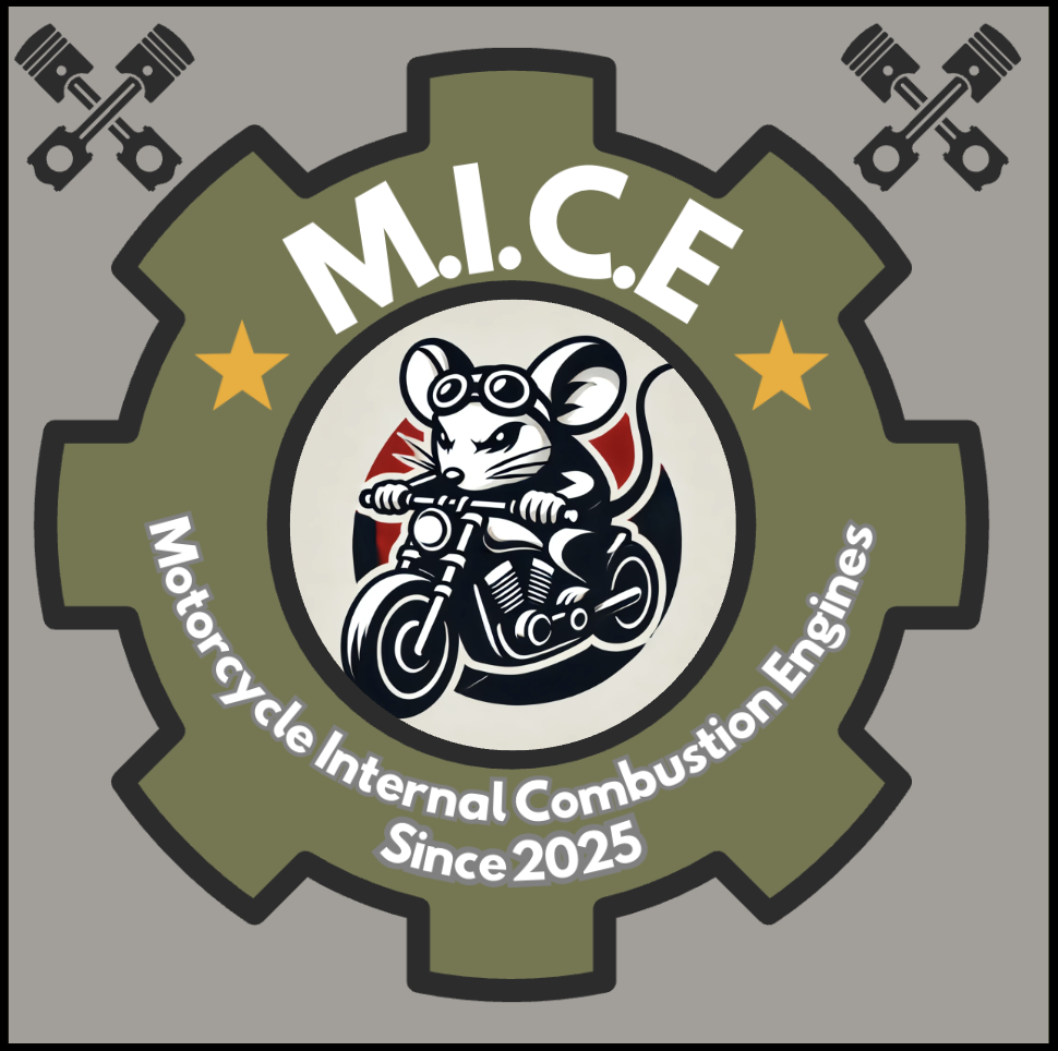 Team Lead of Motorcycle Engine Design