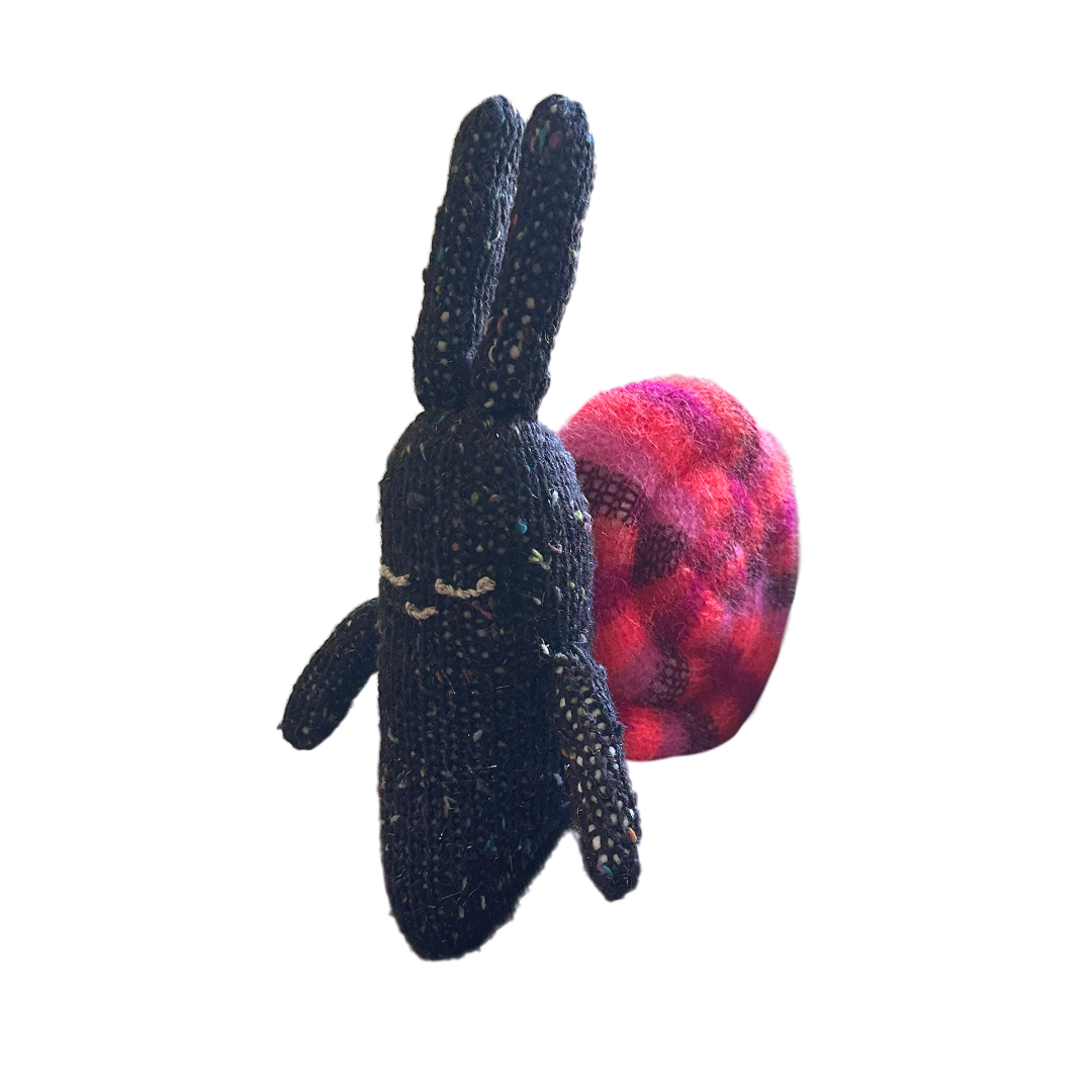 Shinny (snail)