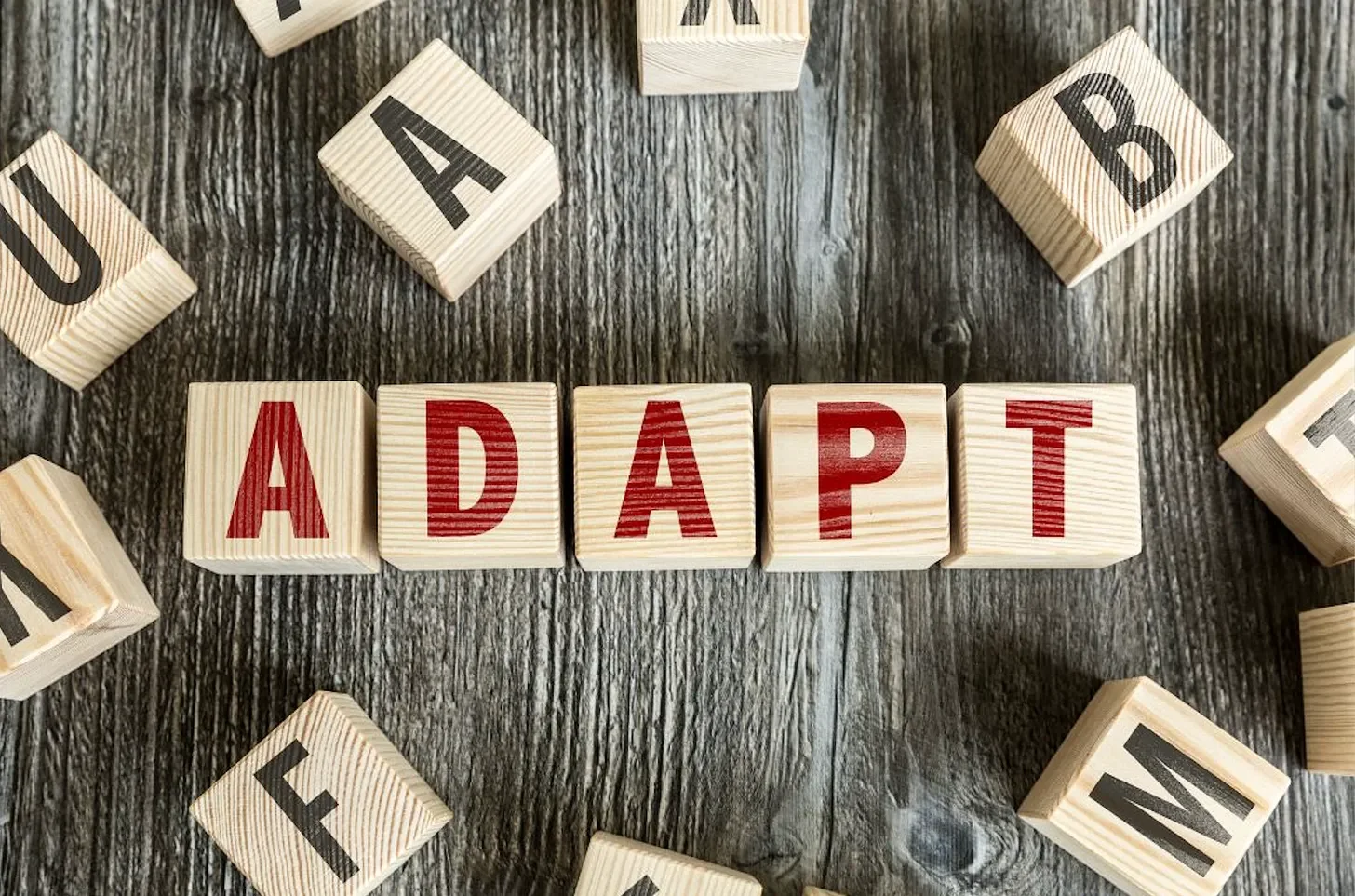 The word adapt