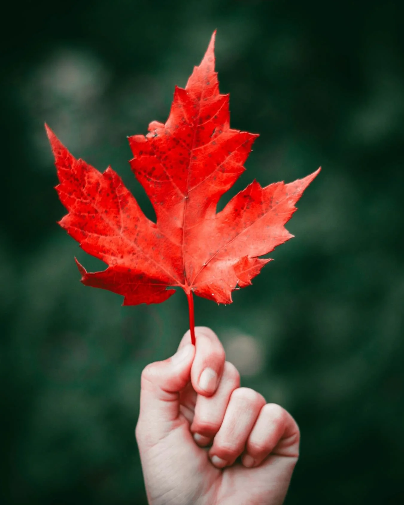 🍁 Registration for the IFS Canadian Community Conference is now open. 

📅 June 5-6, 2026

40+ Speakers
28 Workshops
Welcoming Remarks from Dr. Richard Schwartz
Featured Teaching with Kay Gardner
Indigenous-Led Panel on Indigenous Healing &amp; IFS
