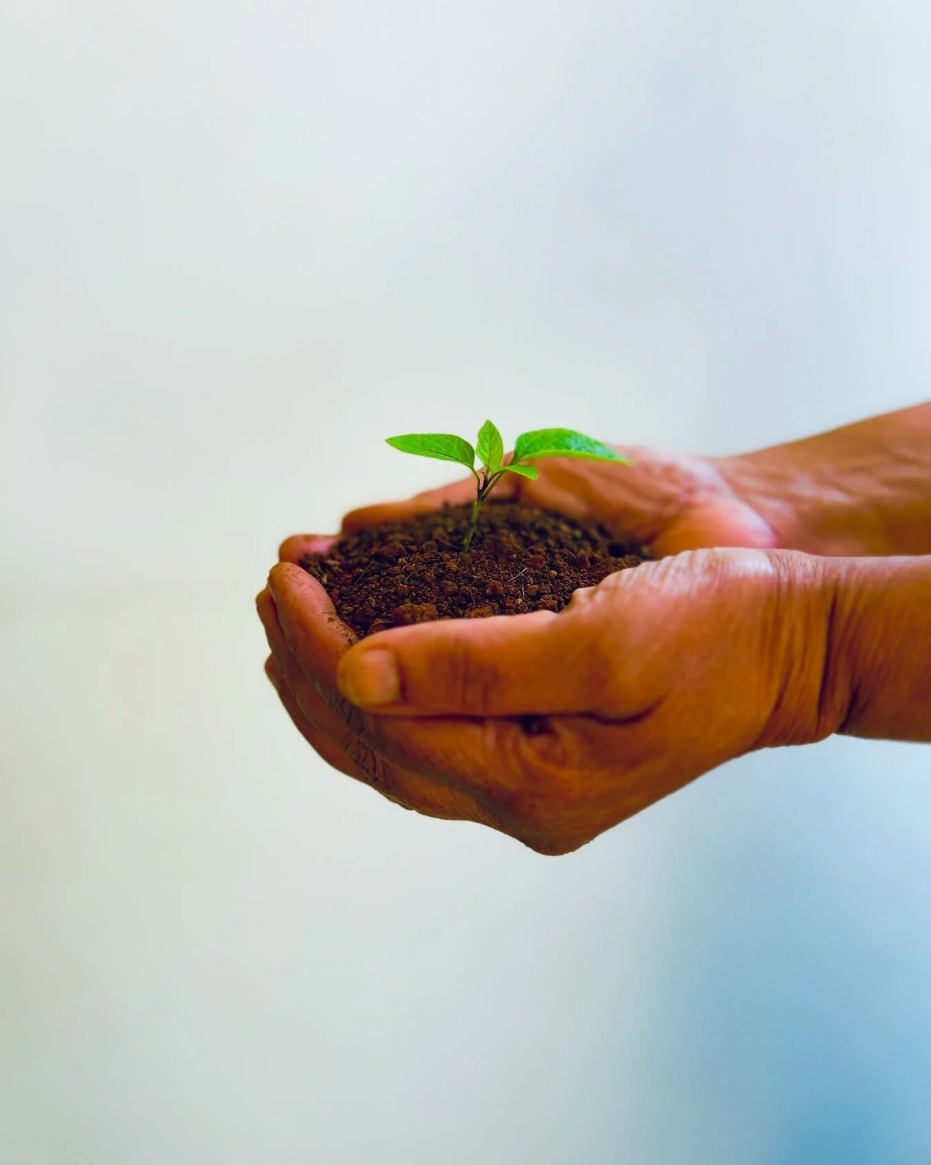 🌱 How can the IFS Canadian Community Conference be a space that supports your growth?

📅 Registration is now open. 
 
IFSCCC will take place online on June 5-6, offering space for learning, reflection, and connection within the Canadian IFS communi
