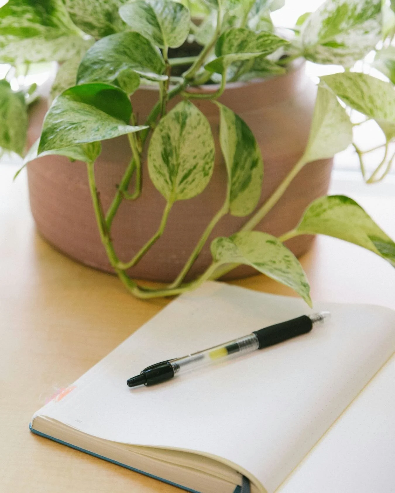 📅 We&rsquo;re getting closer to the IFS Canadian Community Conference. Is it on your calendar?

Registration is now open. 

IFSCCC will take place online on June 5-6, offering space for learning, reflection, and connection within the Canadian IFS co