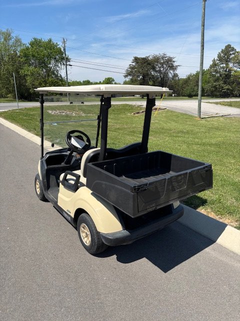 2022 Yamaha Drive 2 Fleet AGM 48v Sunstone (2).jpeg