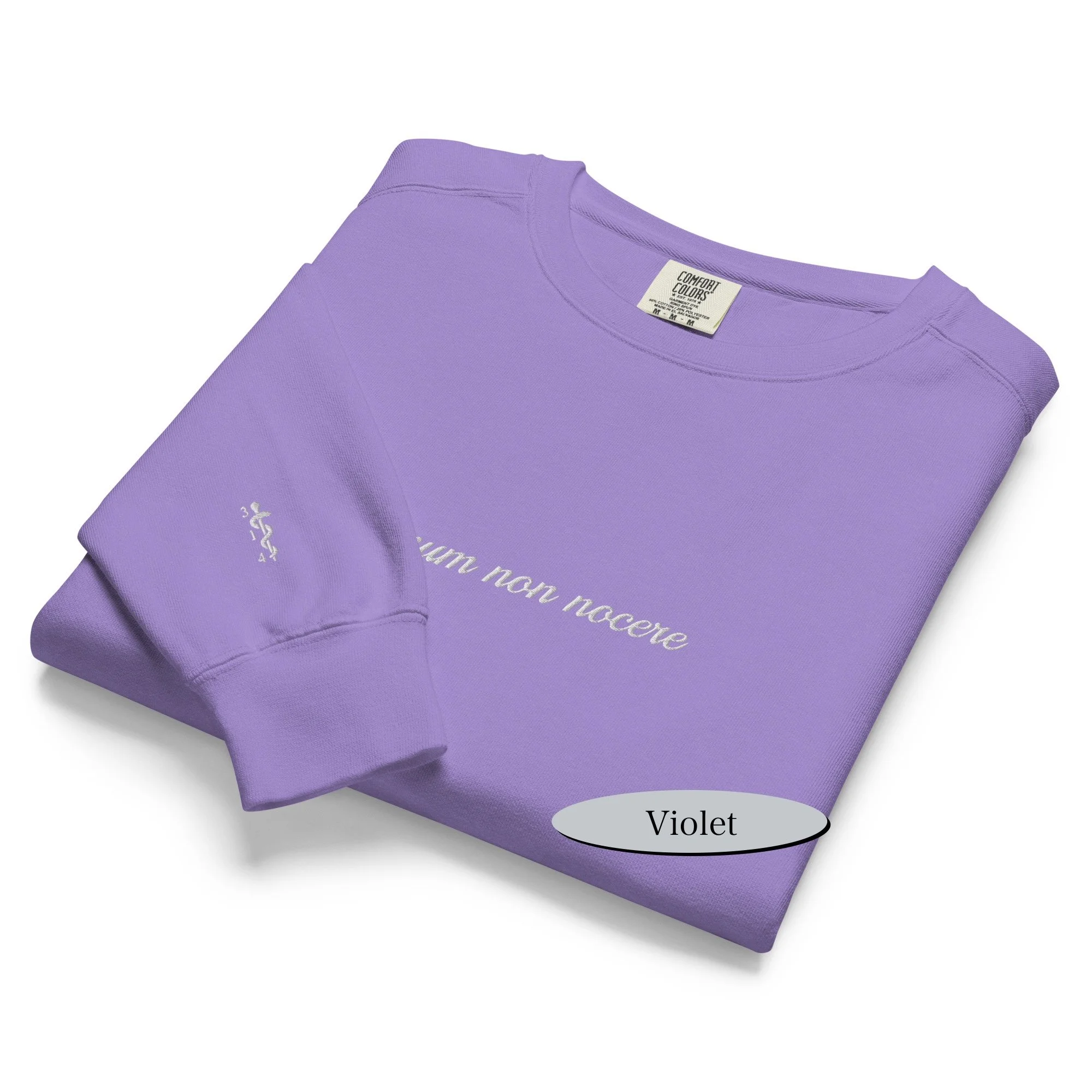 unisex-garment-dyed-sweatshirt-violet-front-68db1d0460047.jpg