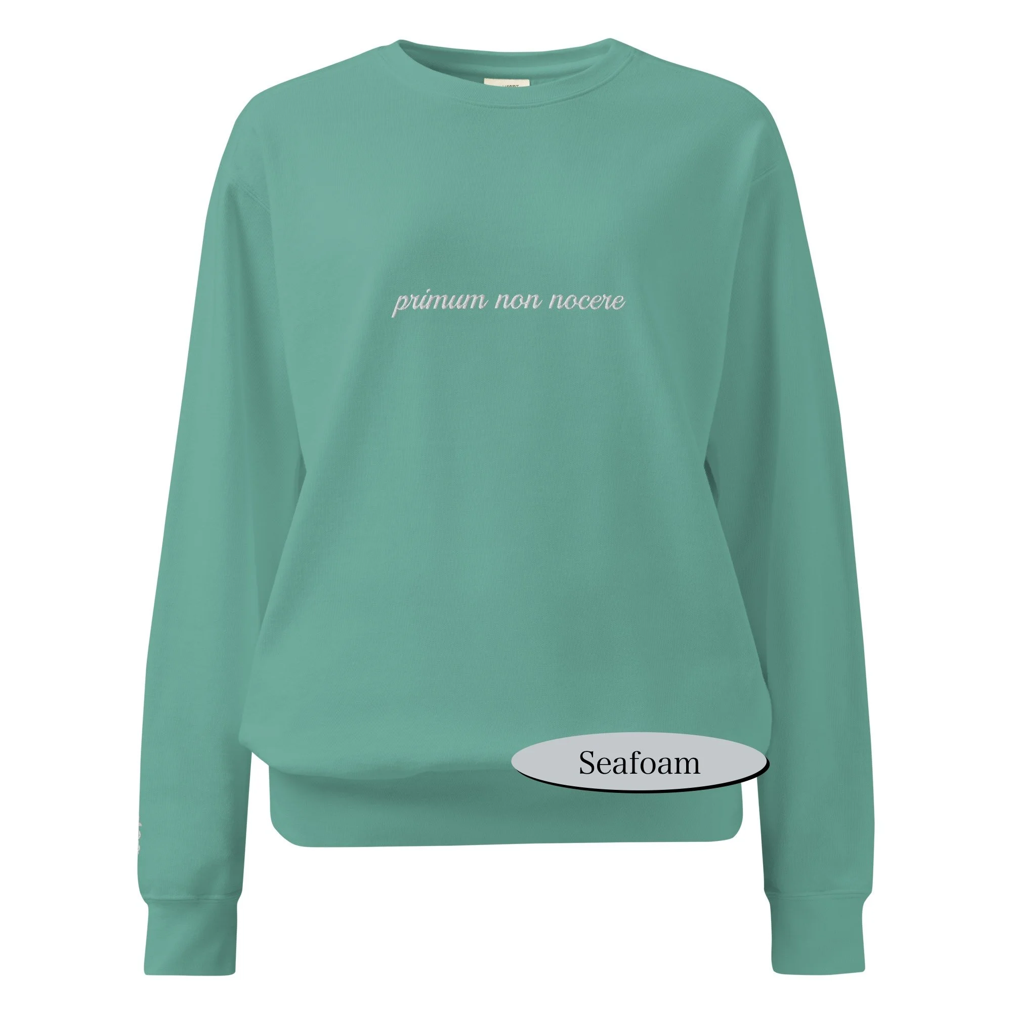 unisex-garment-dyed-sweatshirt-seafoam-front-68db1d0460934.jpg
