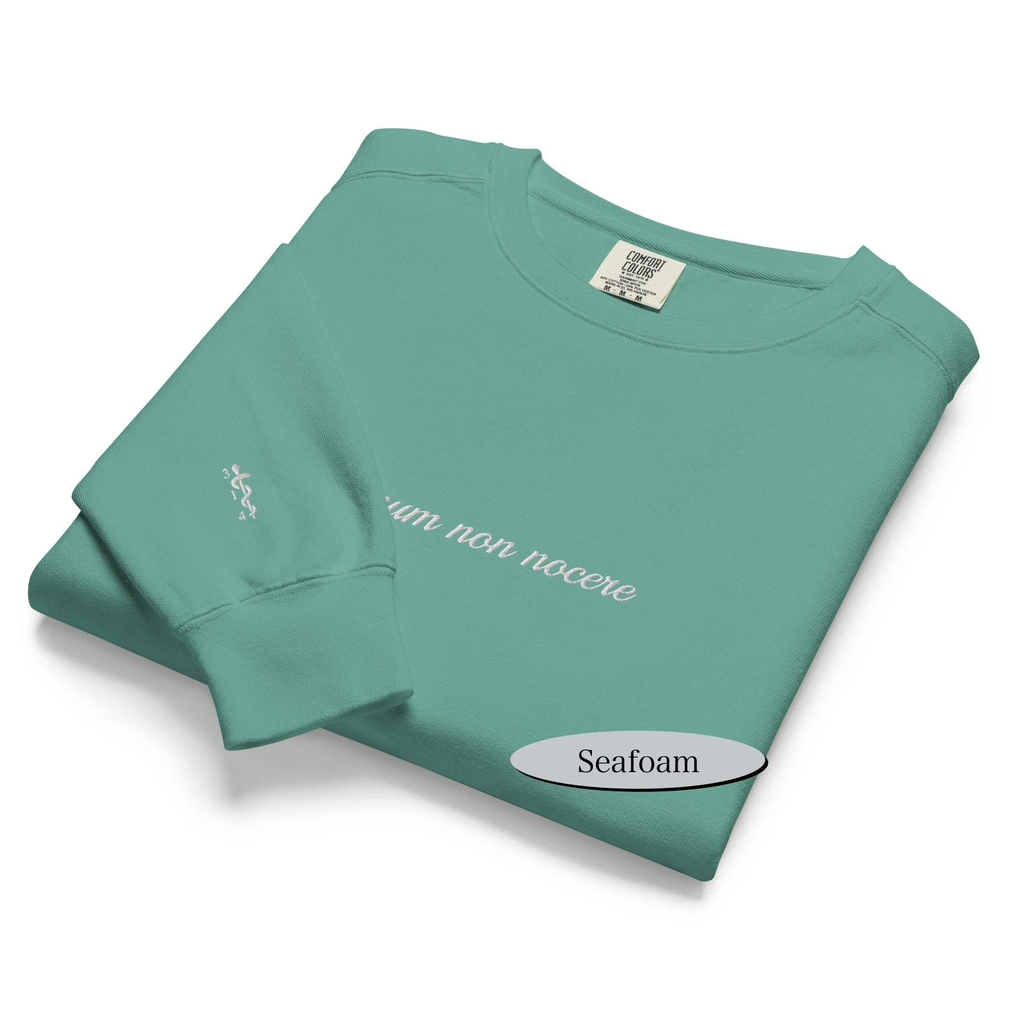 unisex-garment-dyed-sweatshirt-seafoam-front-68db1d045ff66.jpg