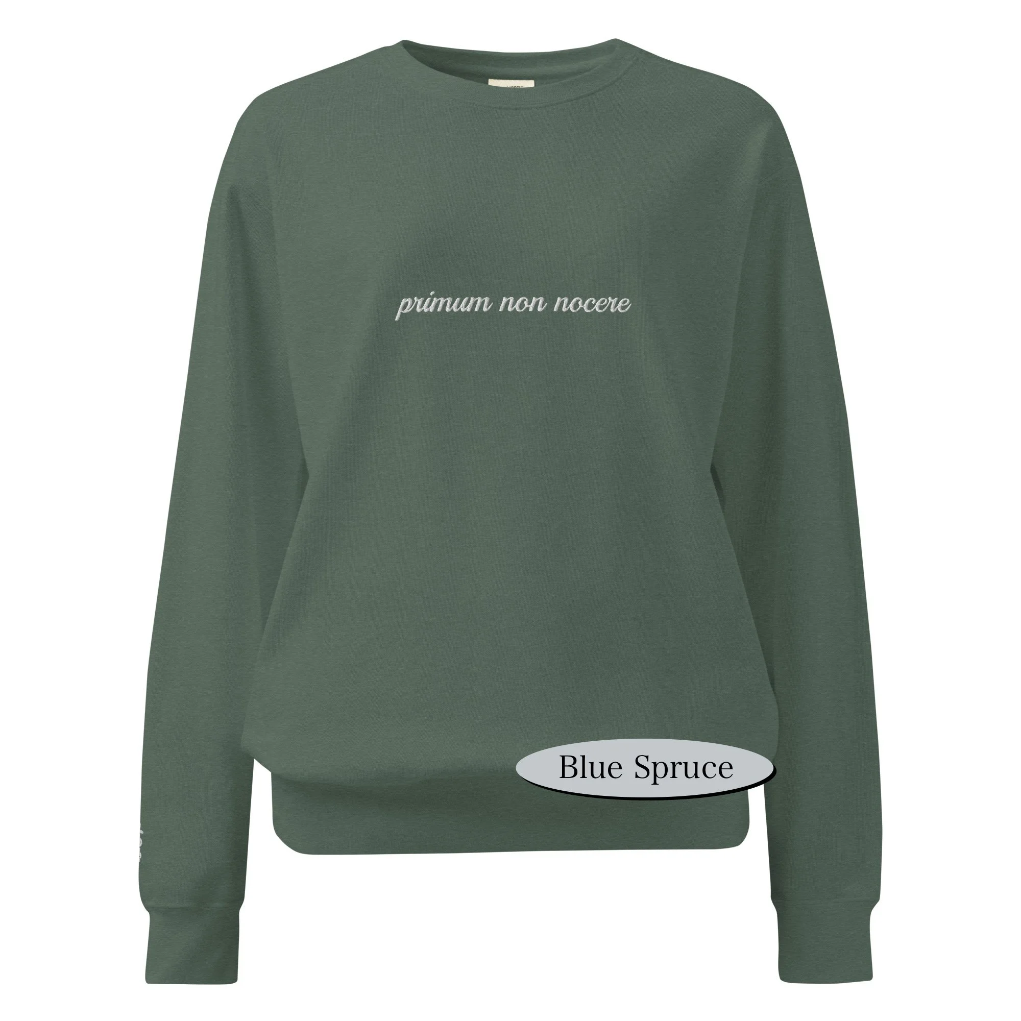 unisex-garment-dyed-sweatshirt-blue-spruce-front-68db1d04606a6 (1).jpg