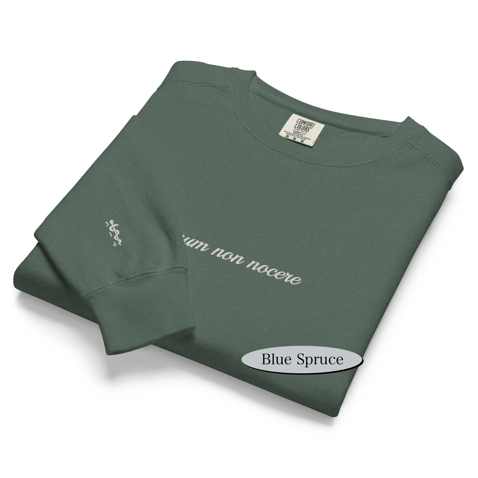 unisex-garment-dyed-sweatshirt-blue-spruce-front-68db1d045fcd2 (1).jpg