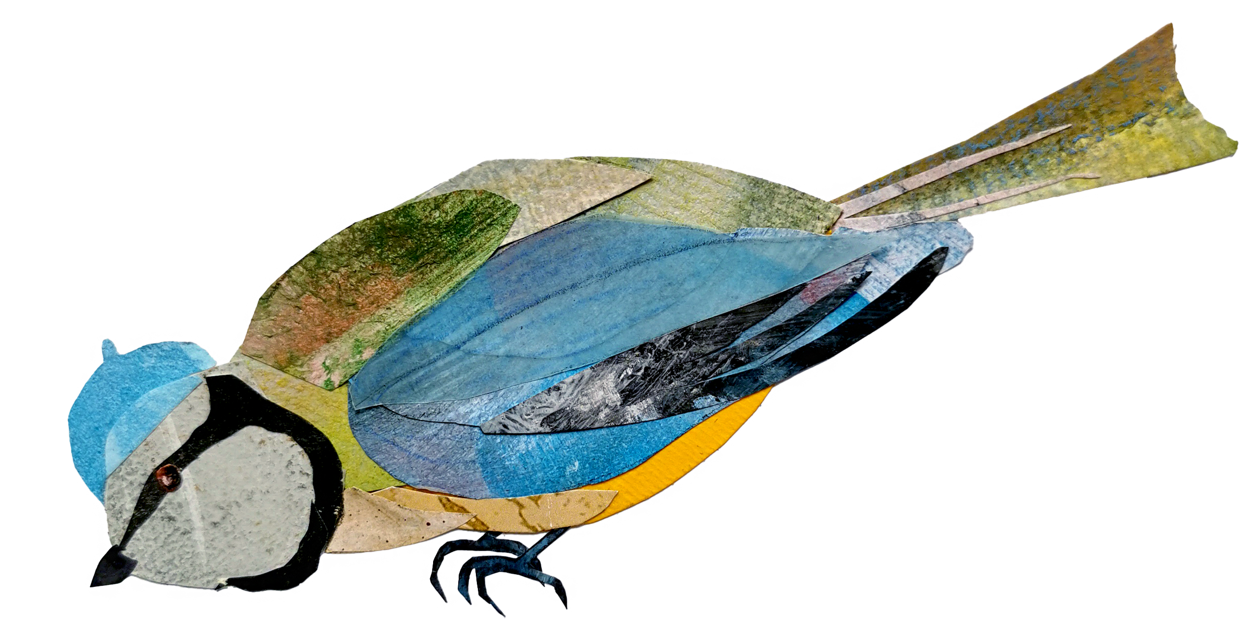 Collage of paper cutout art depicting a bird with a black and white face, blue and yellow body, and colorful wings.