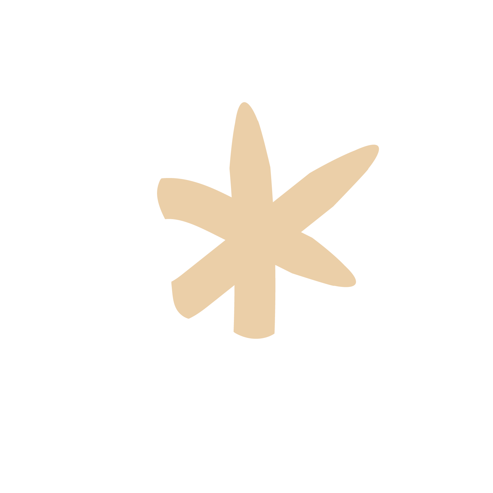 A beige, hand-drawn, six-petaled flower on a white background.
