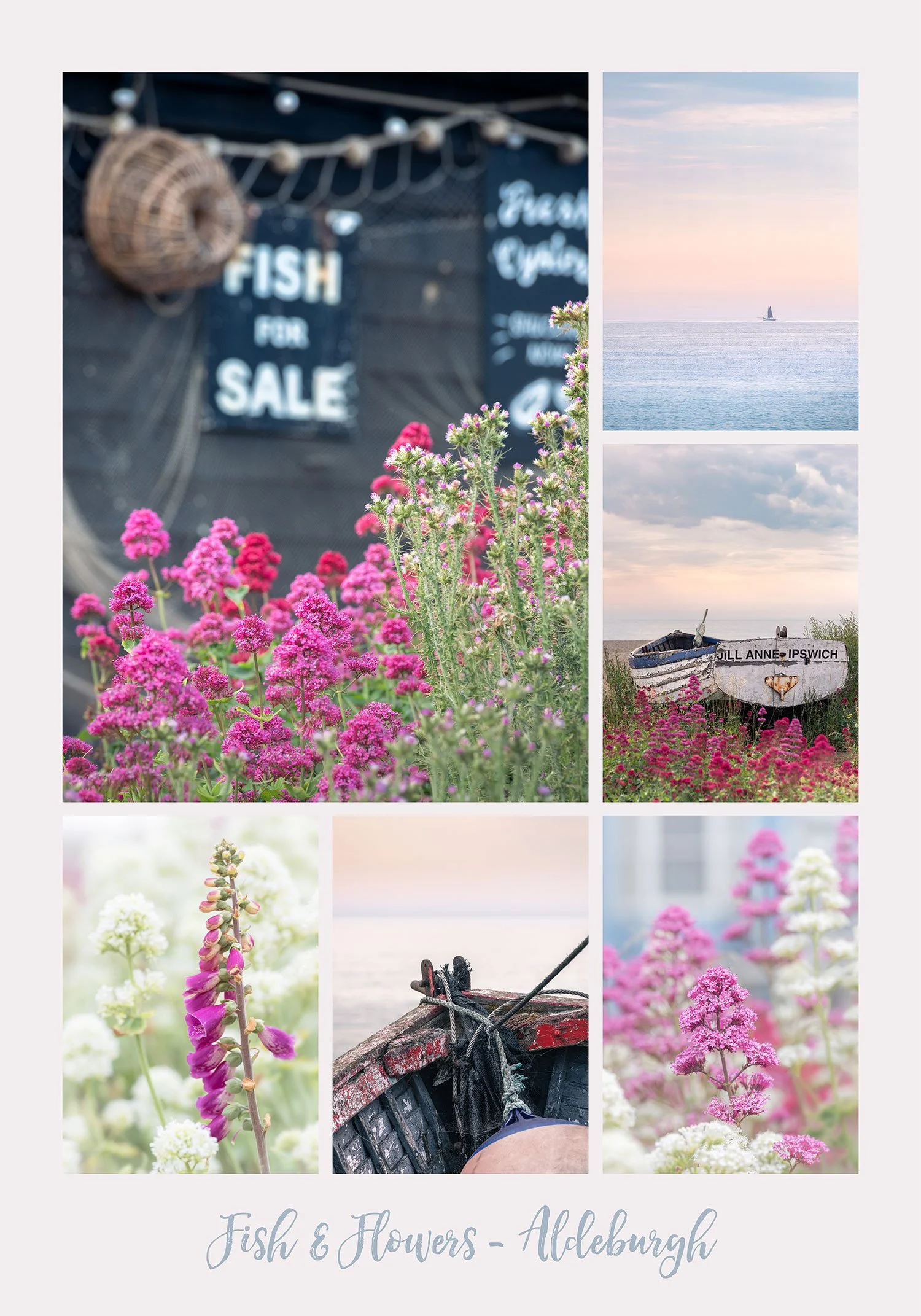 Fish_Flowers_Aldeburgh.jpg