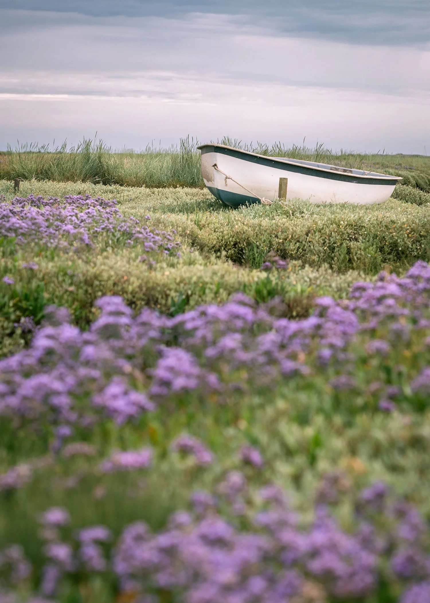 Blakeney_2585.jpg