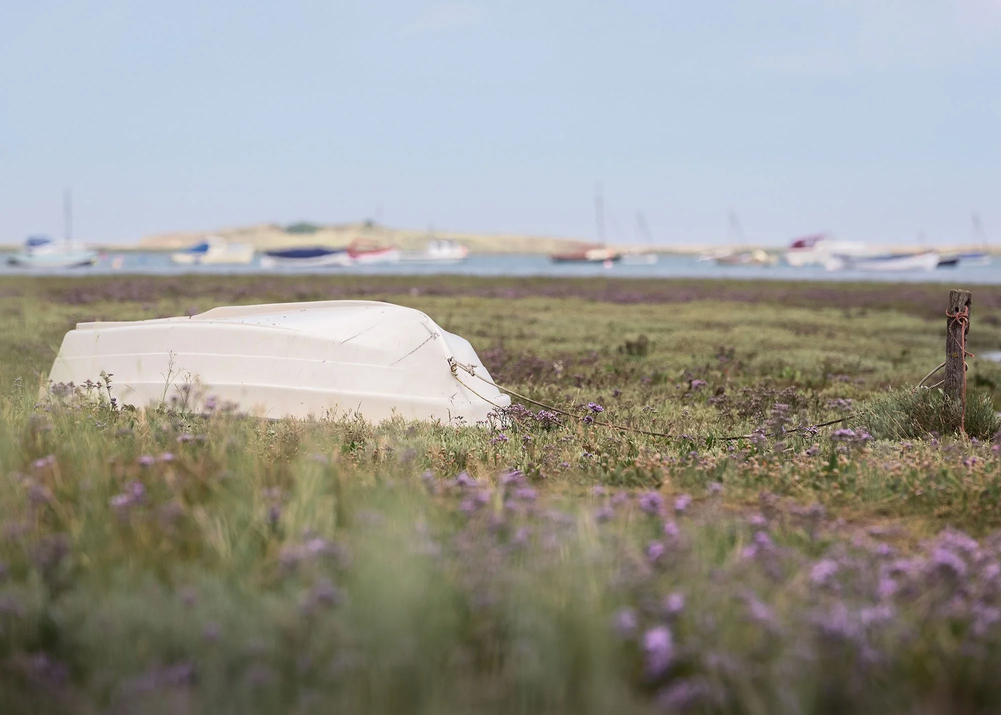 North Norfolk Coast - 16th July